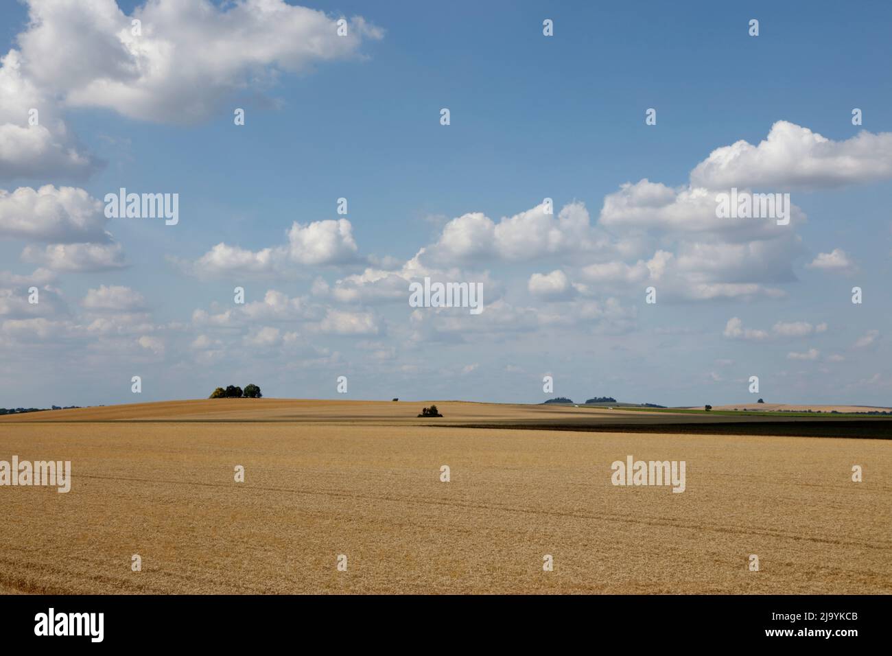 Cholsey Hill, Wittenham Clumps and Brightwell Barrow, Cholsey, Oxfordshire, England, UK Stock Photo