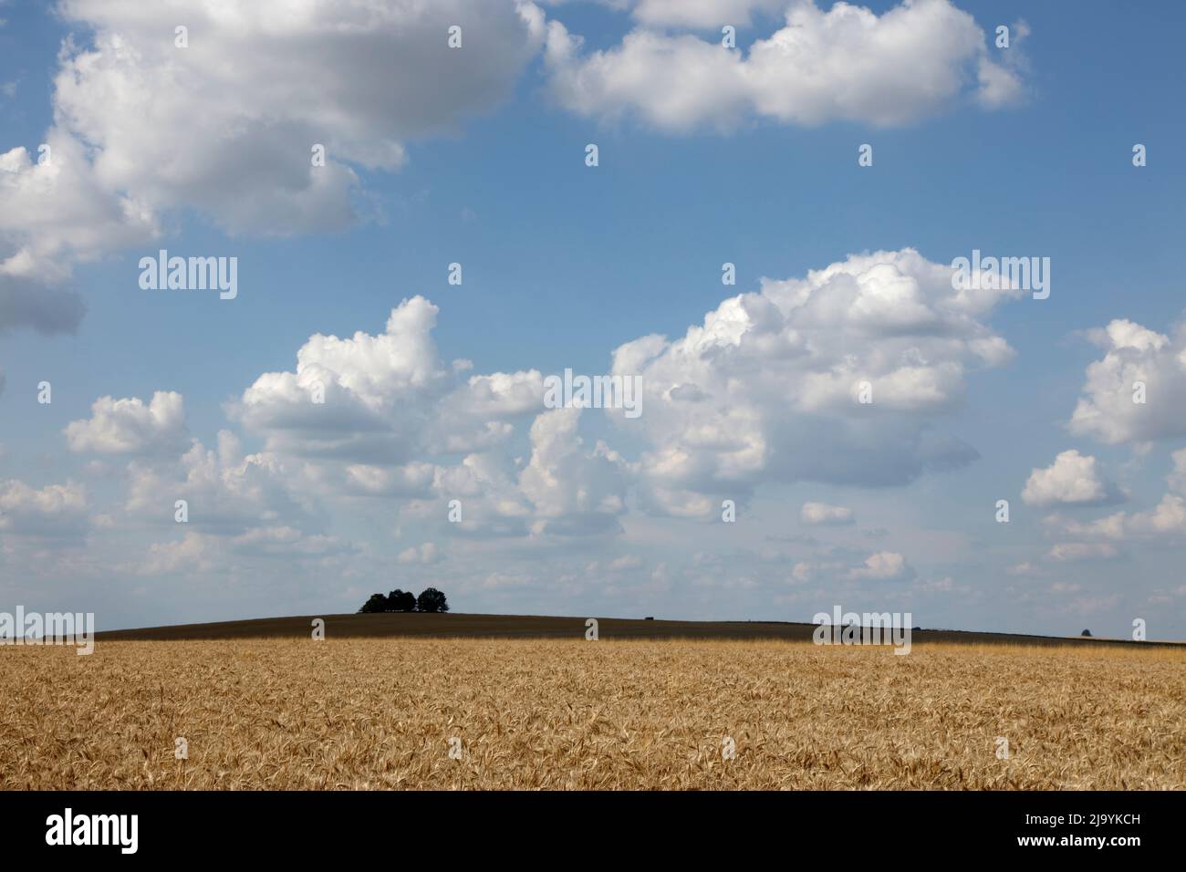 Cholsey Hill and Brightwell Barrow, Cholsey, Oxfordshire, England, UK Stock Photo