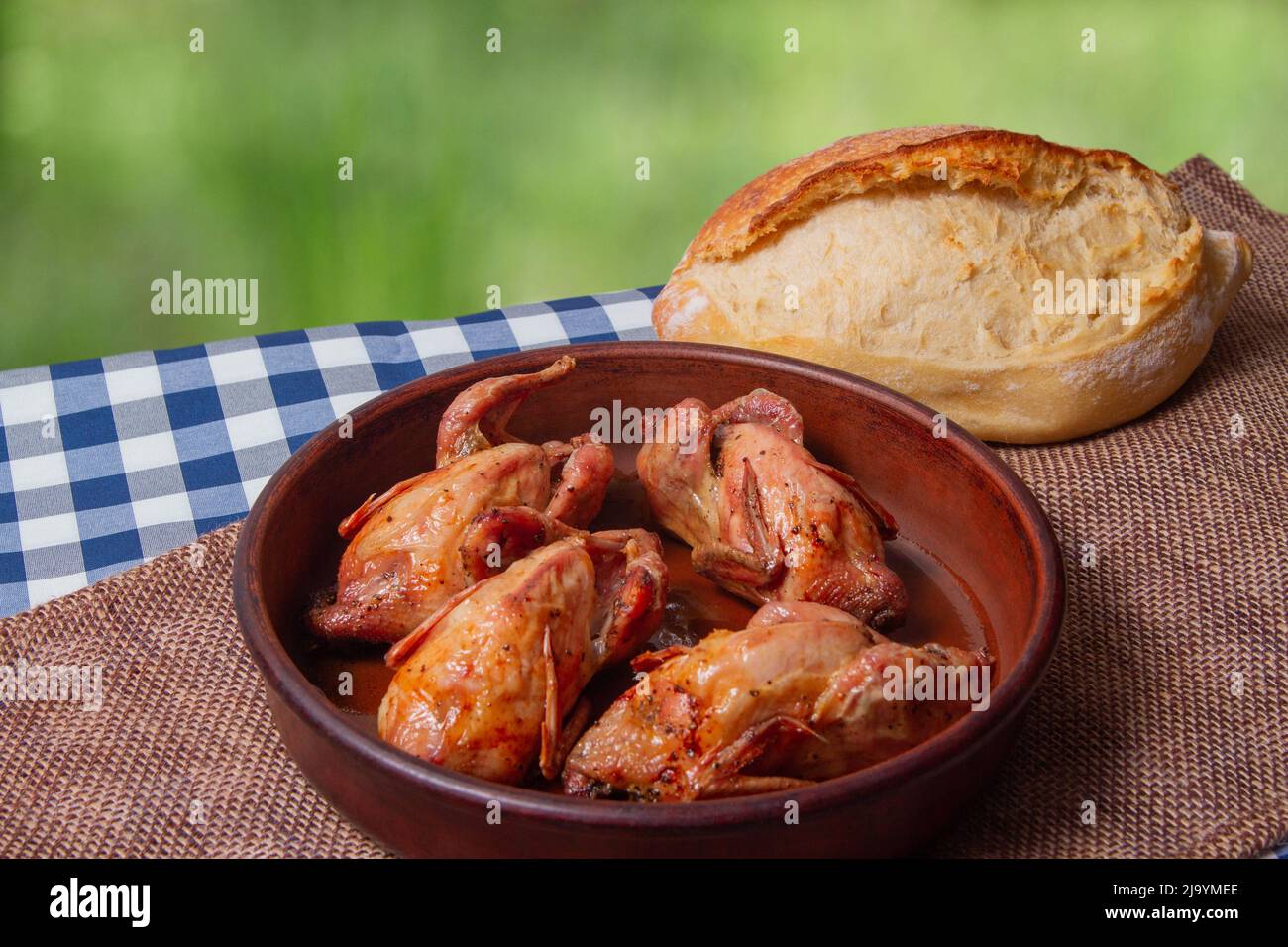Roasted game birds and white bread with green outdoor background. Rustic table serving. Stock Photo