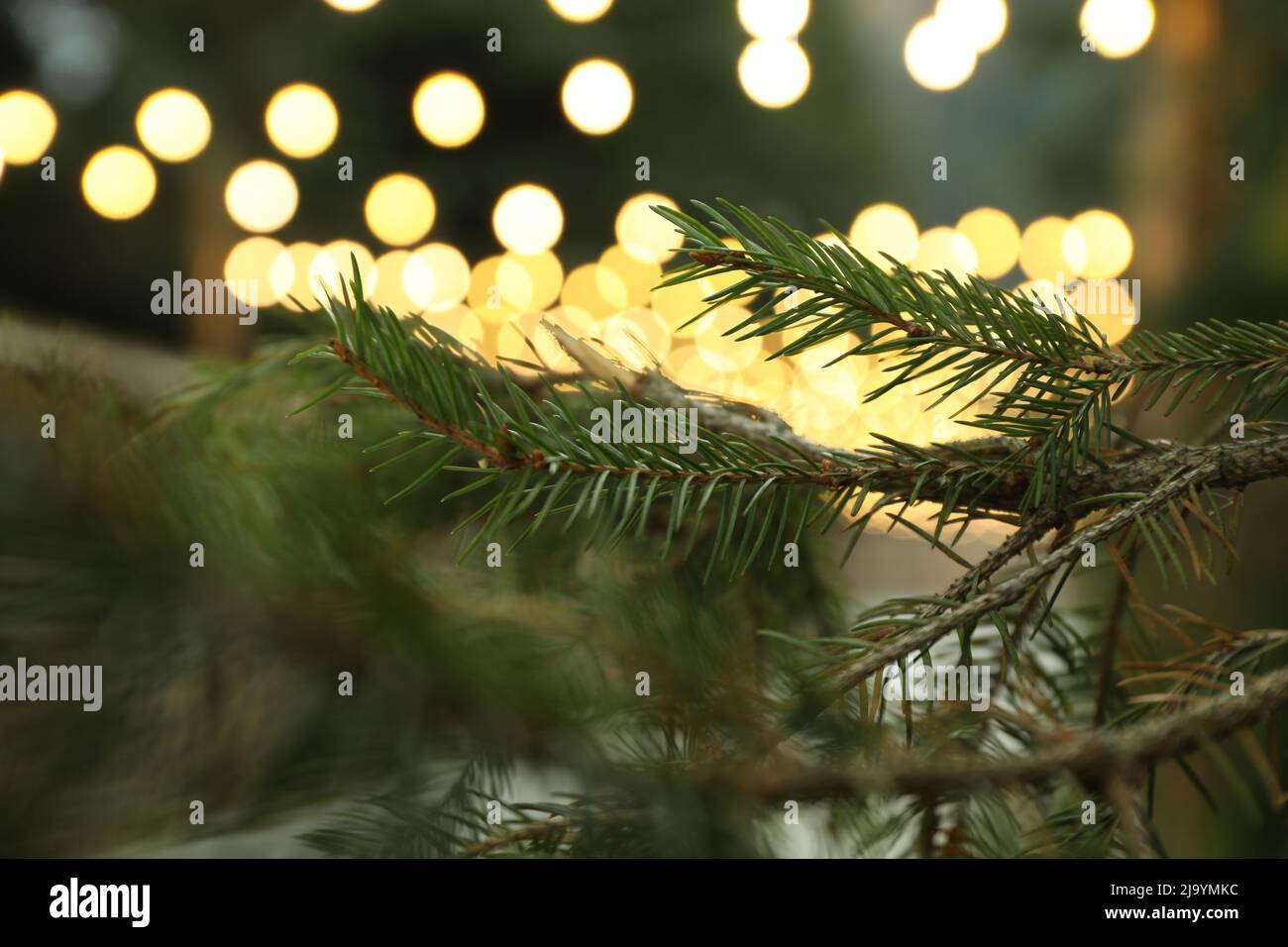 Beautiful park in mountain resort with blurred lights Stock Photo