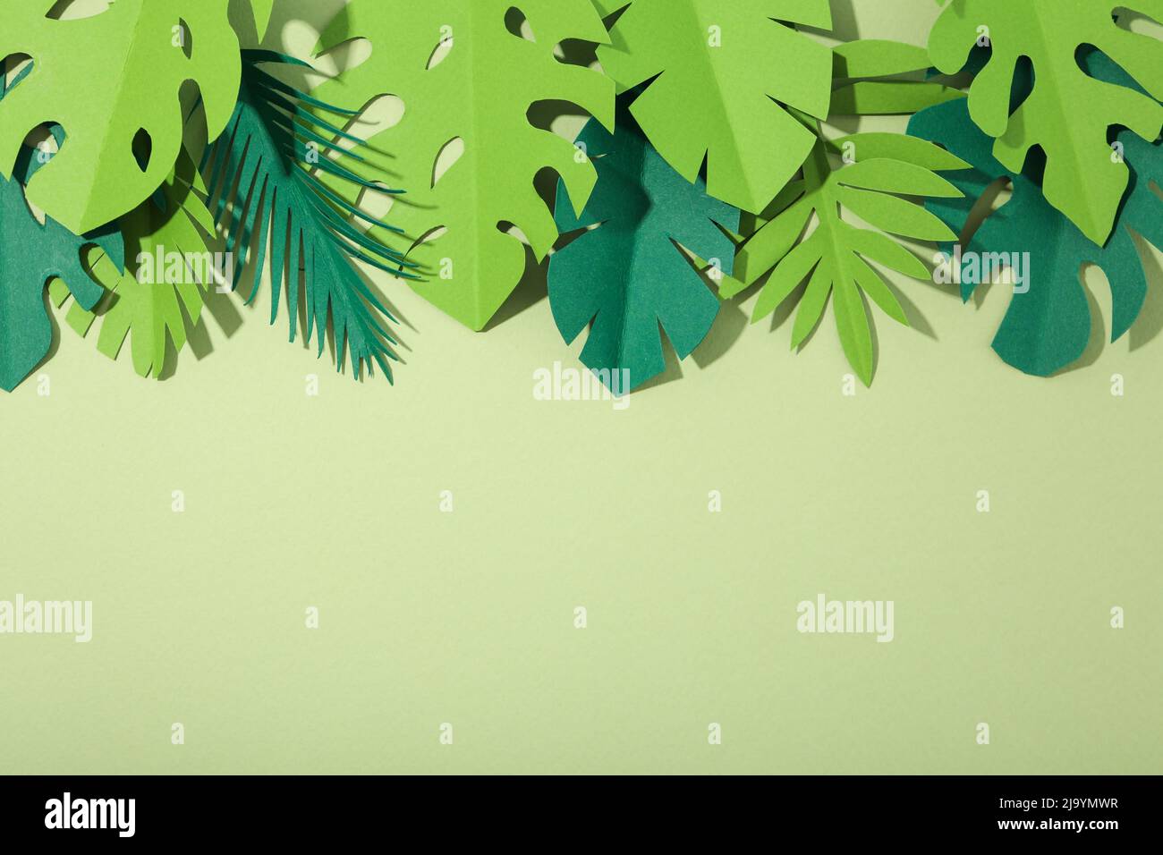 Decorative exotic leaves on green background, space for text Stock Photo