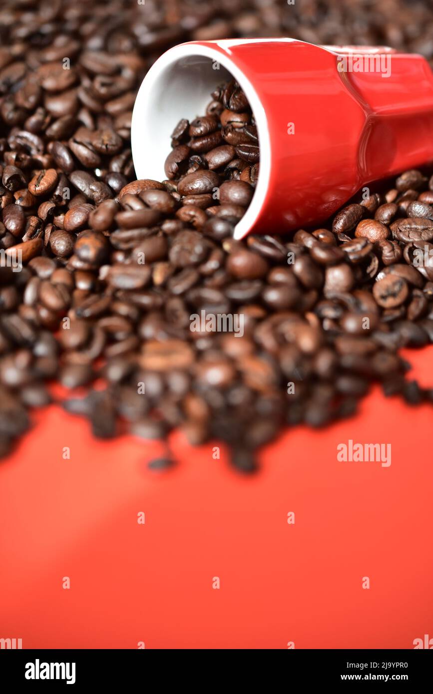 coffee beans with coffee cup Stock Photo