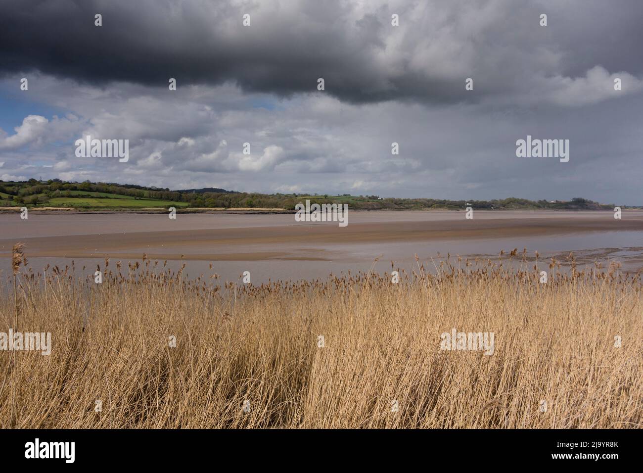 View of River Severn seen from Sharpness, Gloucestershire, UK Stock Photo