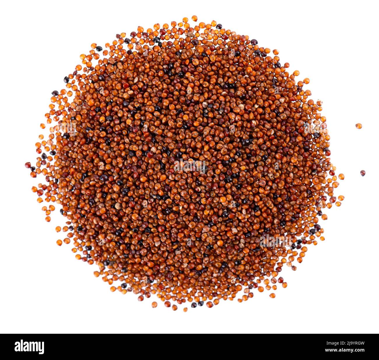 Canihua grains isolated on white background. Pile of qaniwa, qanawa, qanawi or kaniwa seeds. Dry grains of chenopodium pallidicaule. Top view Stock Photo