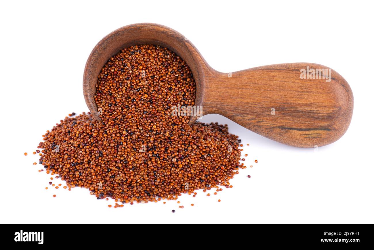 Canihua grains isolated on white background. Pile of qaniwa in wooden spoon. Dry grains of chenopodium pallidicaule Stock Photo