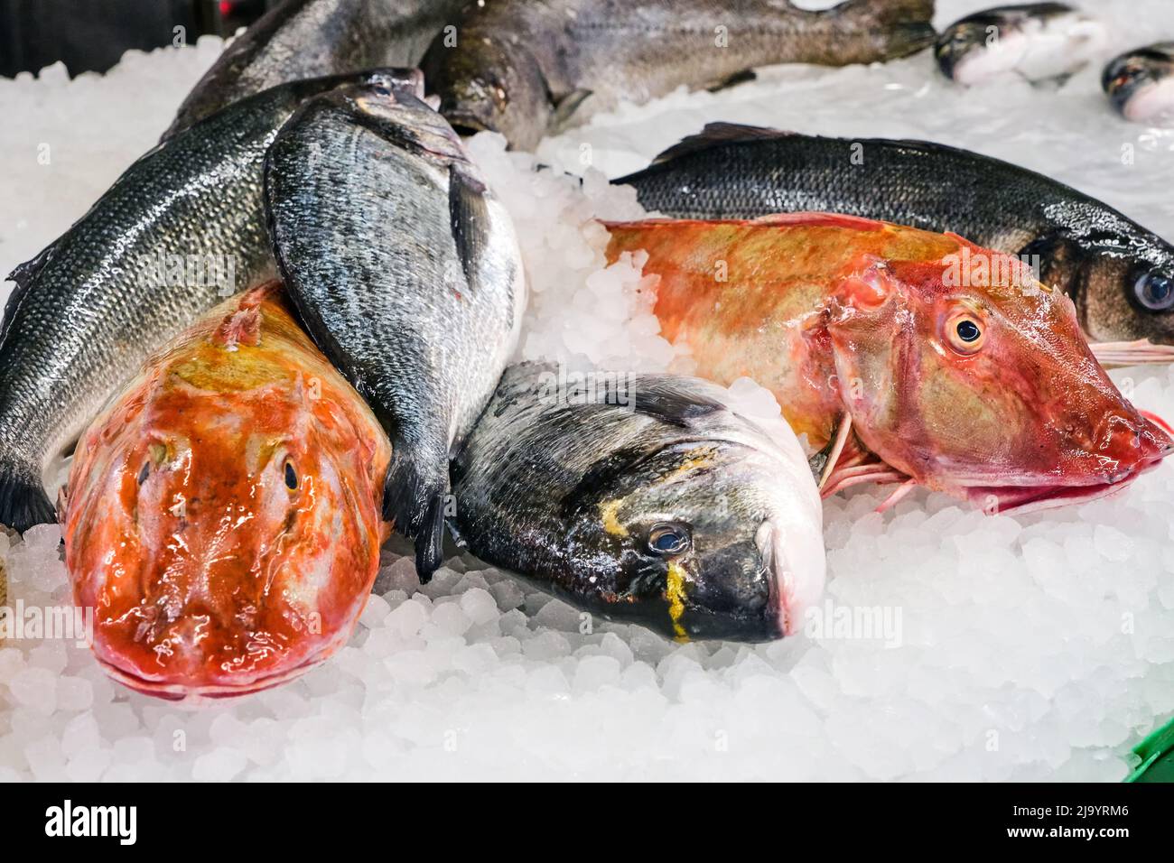 Red and gray fish for sale at a market Stock Photo