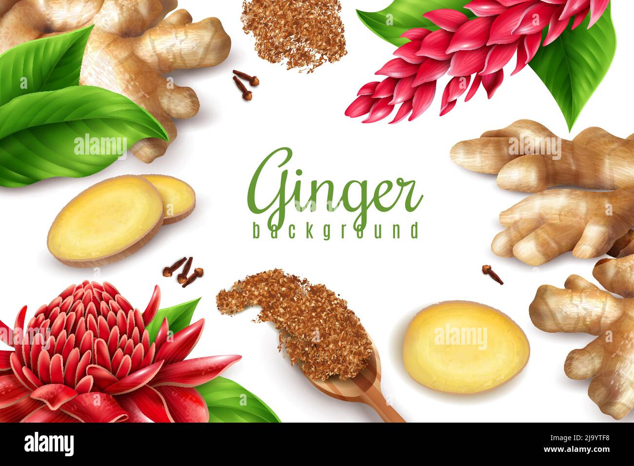 Organic ginger root leaves flowers clove spice realistic health