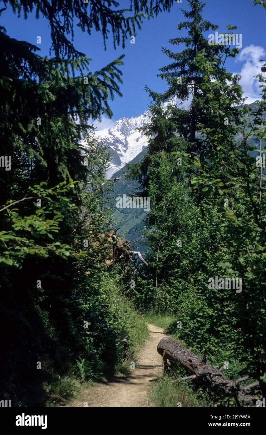 On GR 5 Tour du Mont Blanc from Brévent to Merlet, near Merlet, Chamonix-Mont-Blanc, Haute Savoie,France, 1990 Stock Photo