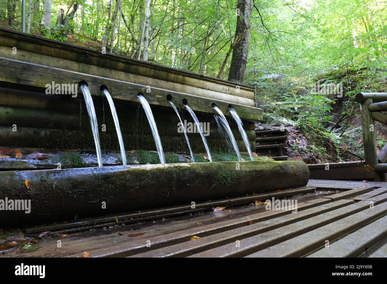 Water flowing from a fountain in the forest. Tap water in the forest. Cold tap water. Stock Photo