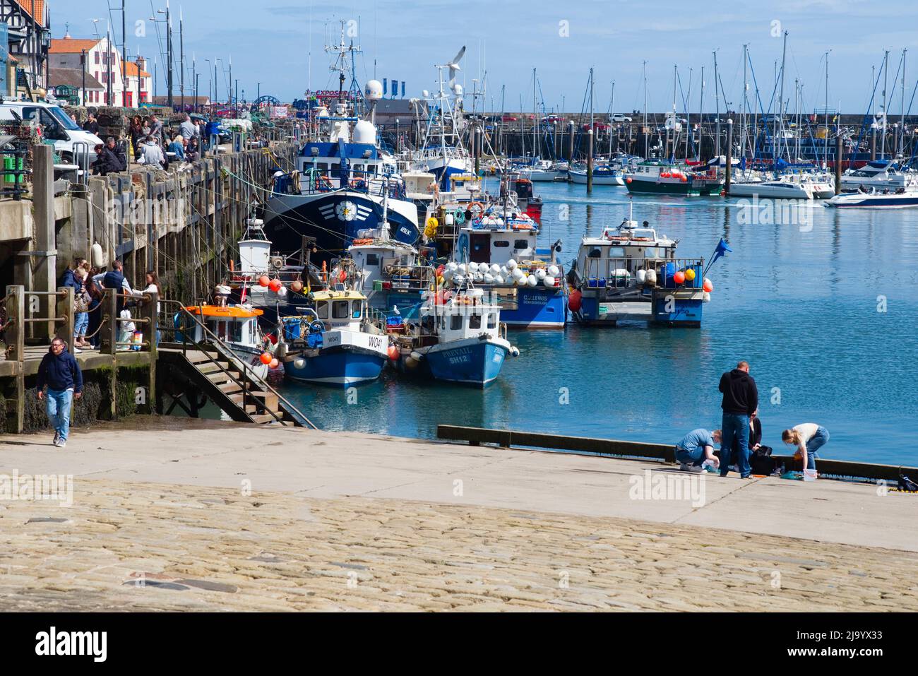 Scarborough harbour is a busy fishing port with many boats moored up Stock Photo