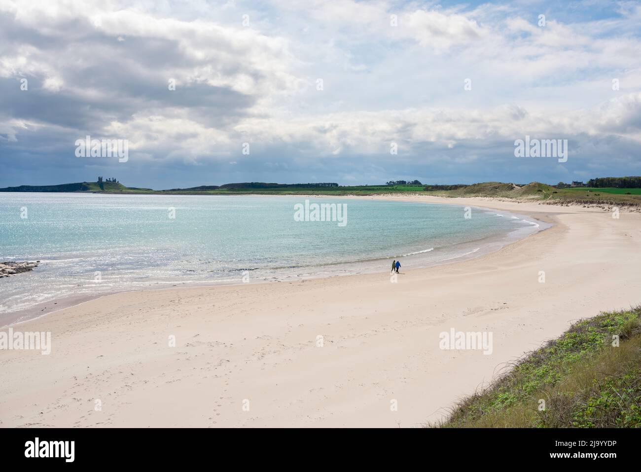 Embleton Bay Northumberland, view in spring of the scenic expanse of beach in Embleton Bay, with the ruins of Dunstanburgh Castle visible, England UK Stock Photo