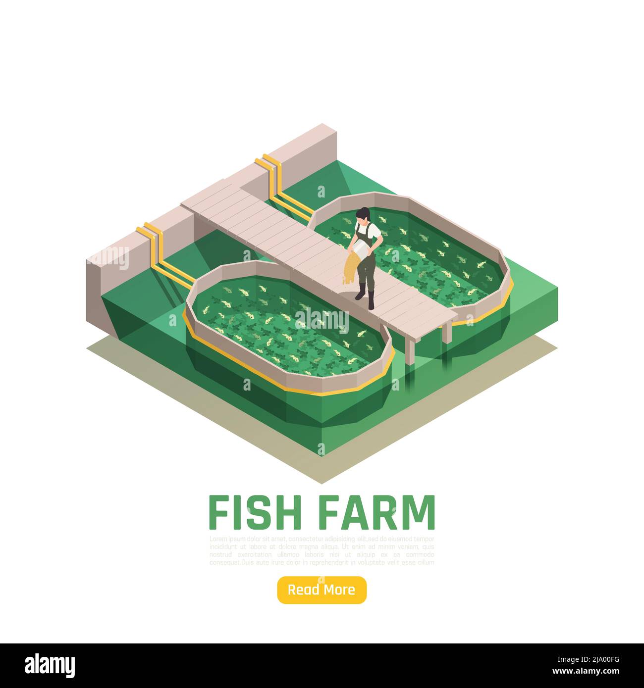 Natural resources aquaculture isometric web page element with fish farm production worker feeding fingerlings vector illustration Stock Vector