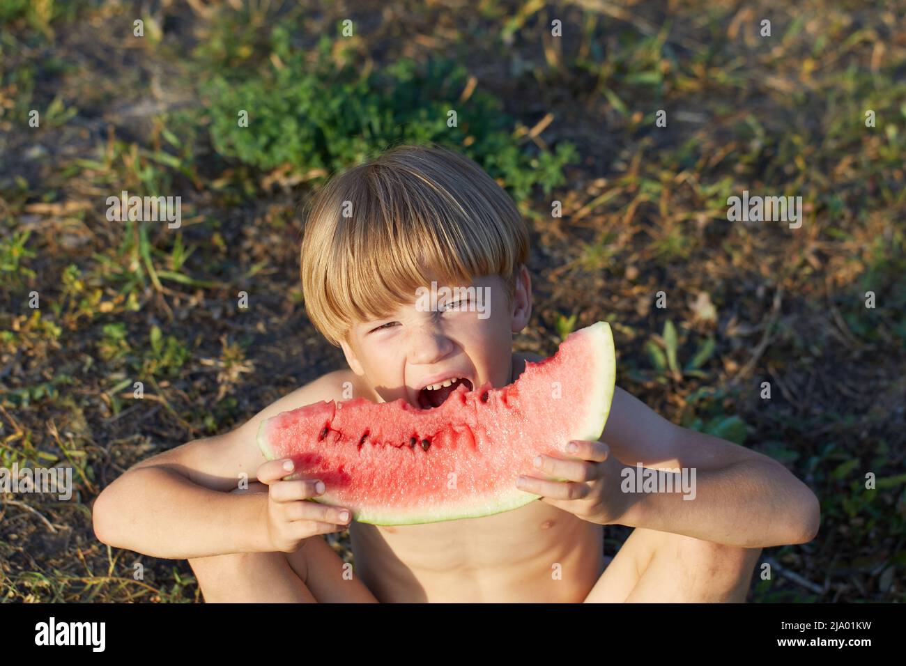 Six years old boy eating watermelon in garden sitting on ground Stock