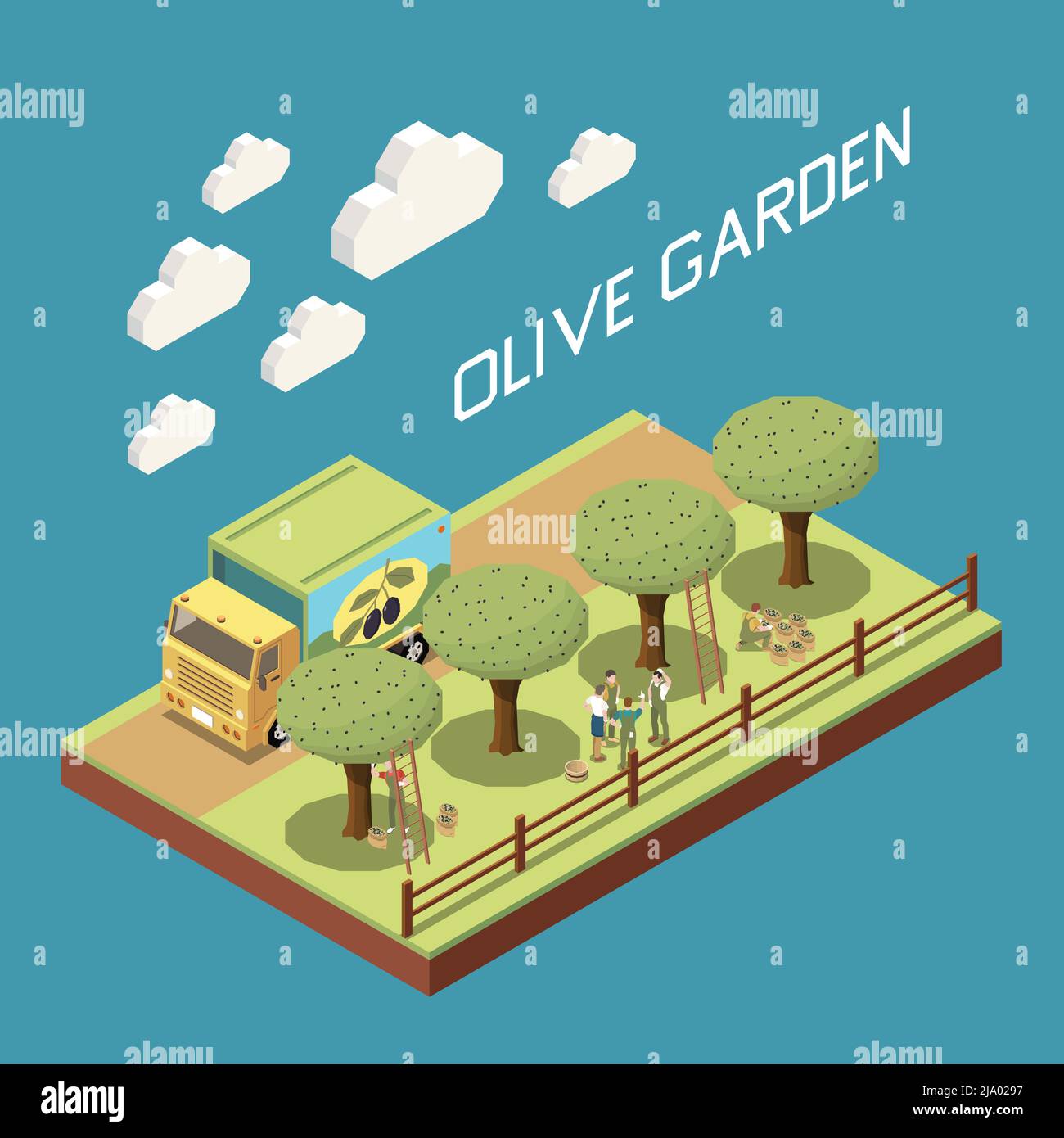 Olive production isometric composition with outdoor view of garden with row of trees truck and people vector illustration Stock Vector