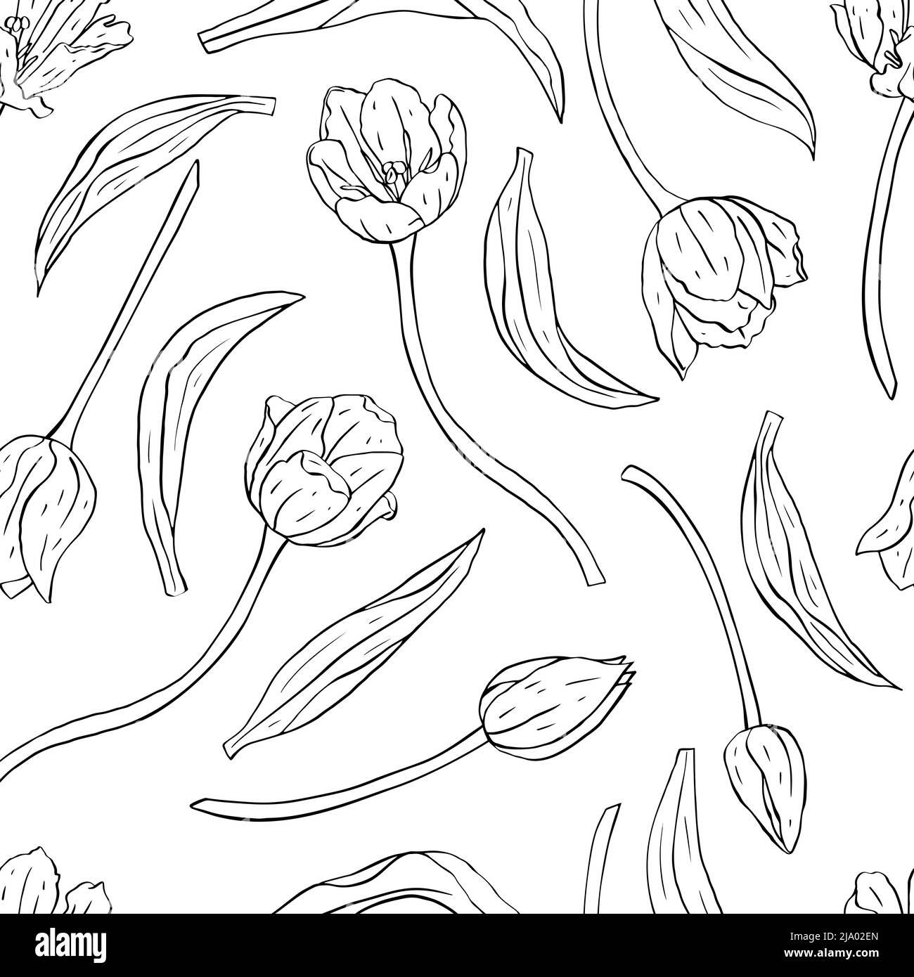 Monochrome black and white vintage seamless pattern with line art ...