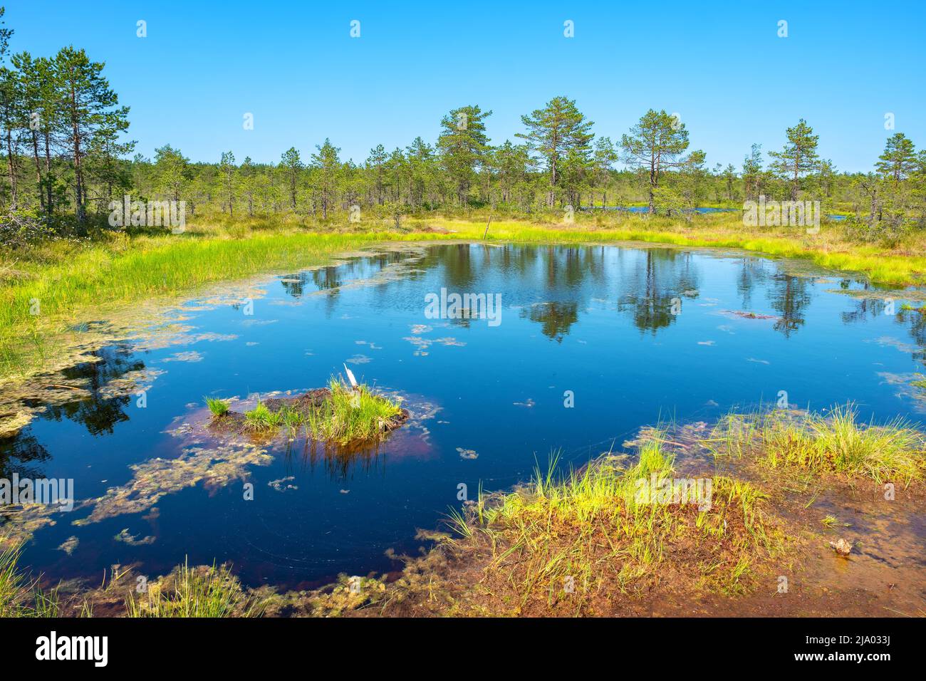 Natural landscape of Viru Bog (Viru raba) with small marsh lakes. Lahemaa National Park, Estonia Stock Photo