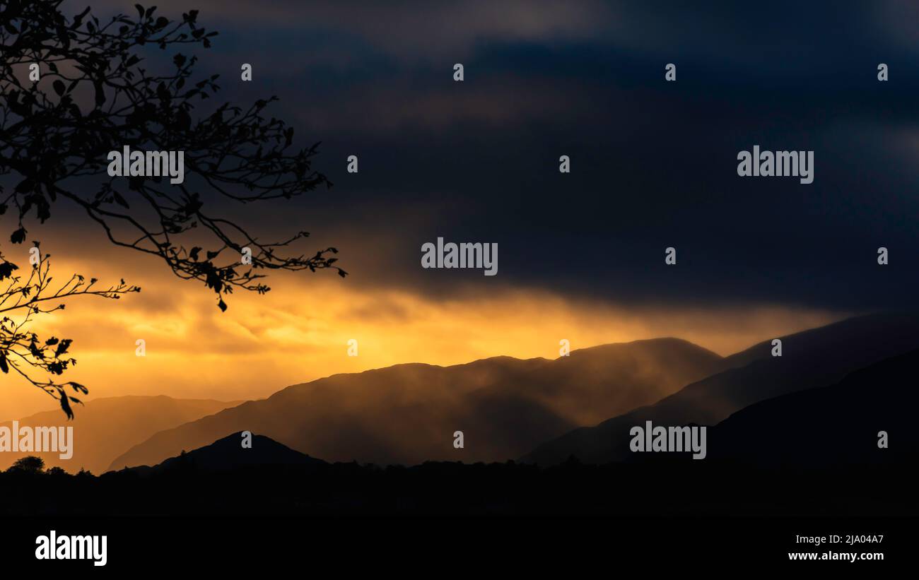 Beautiful sunset scene in Scottish Highlands.Dark clouds over silhouetted foggy hills lit by golden setting sun and framed with tree branch. Stock Photo