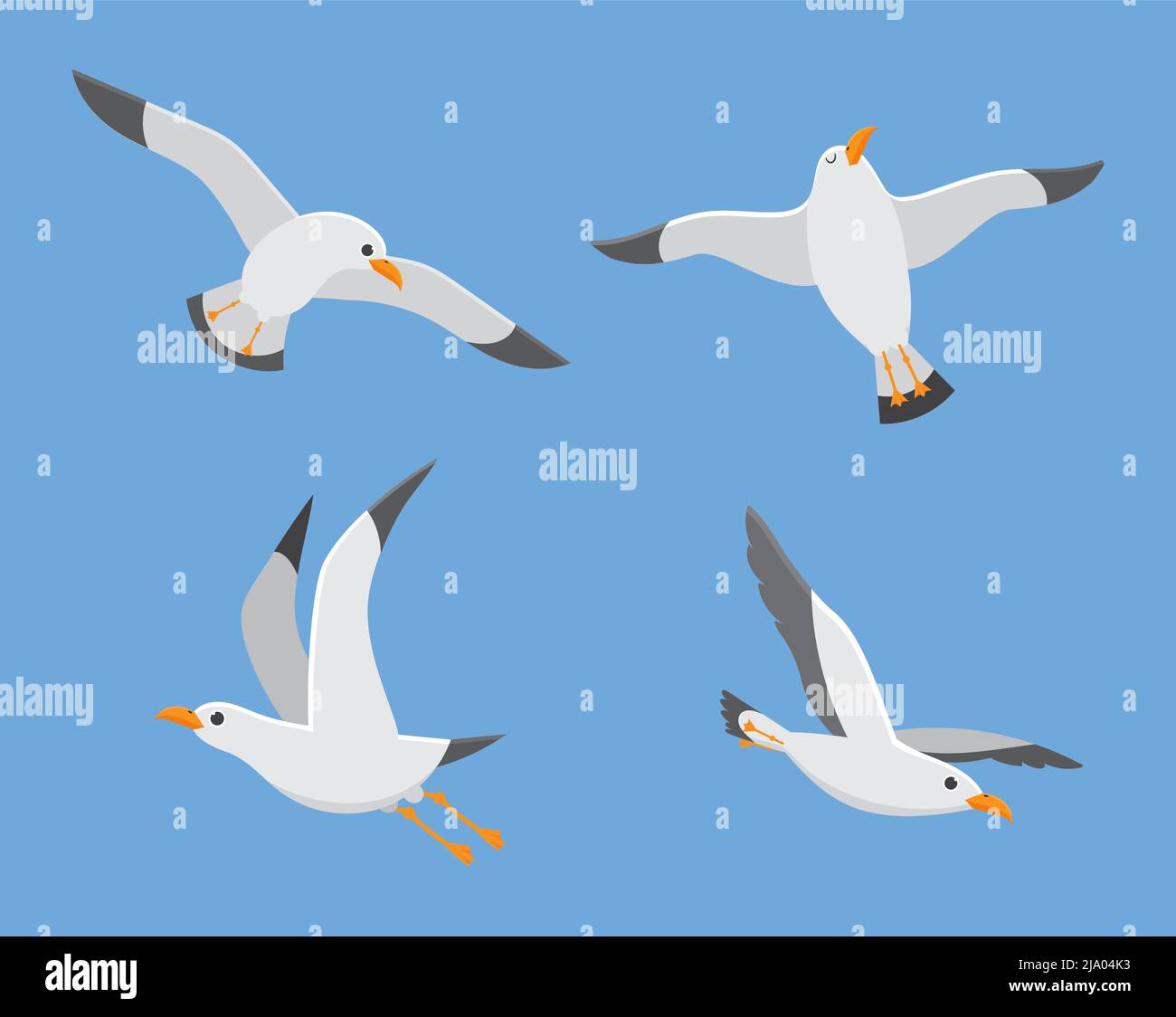Atlantic sea bird fly at sky, set of white gull Stock Vector