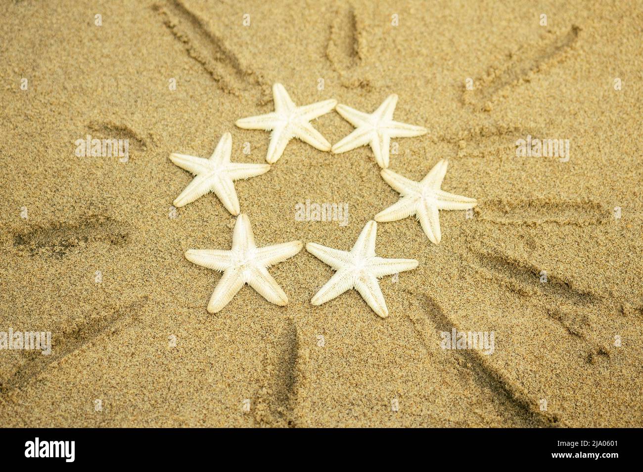 white starfish drawing sun on the sand. the sun on the sand from the sea stars. concept of vacation, summer and travel Stock Photo