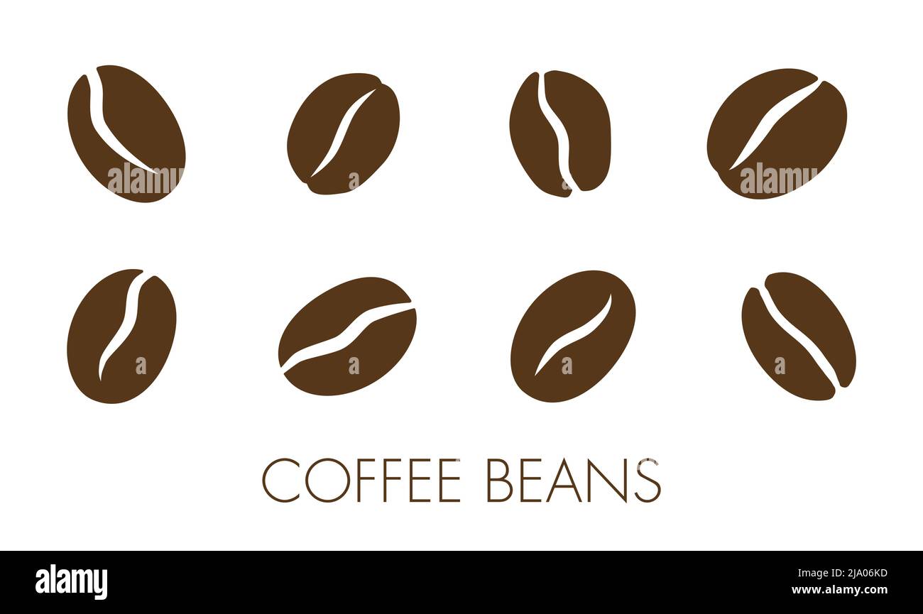 Different coffee beans vector illustration collection icon set stock