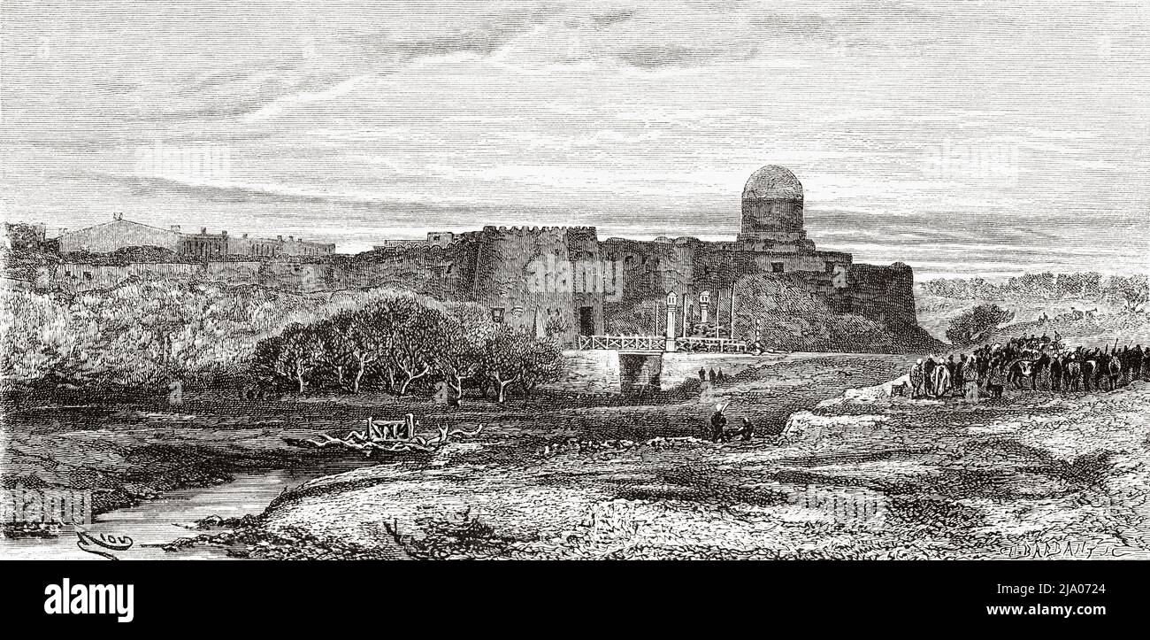 Olmaotada transseksual fohishalar