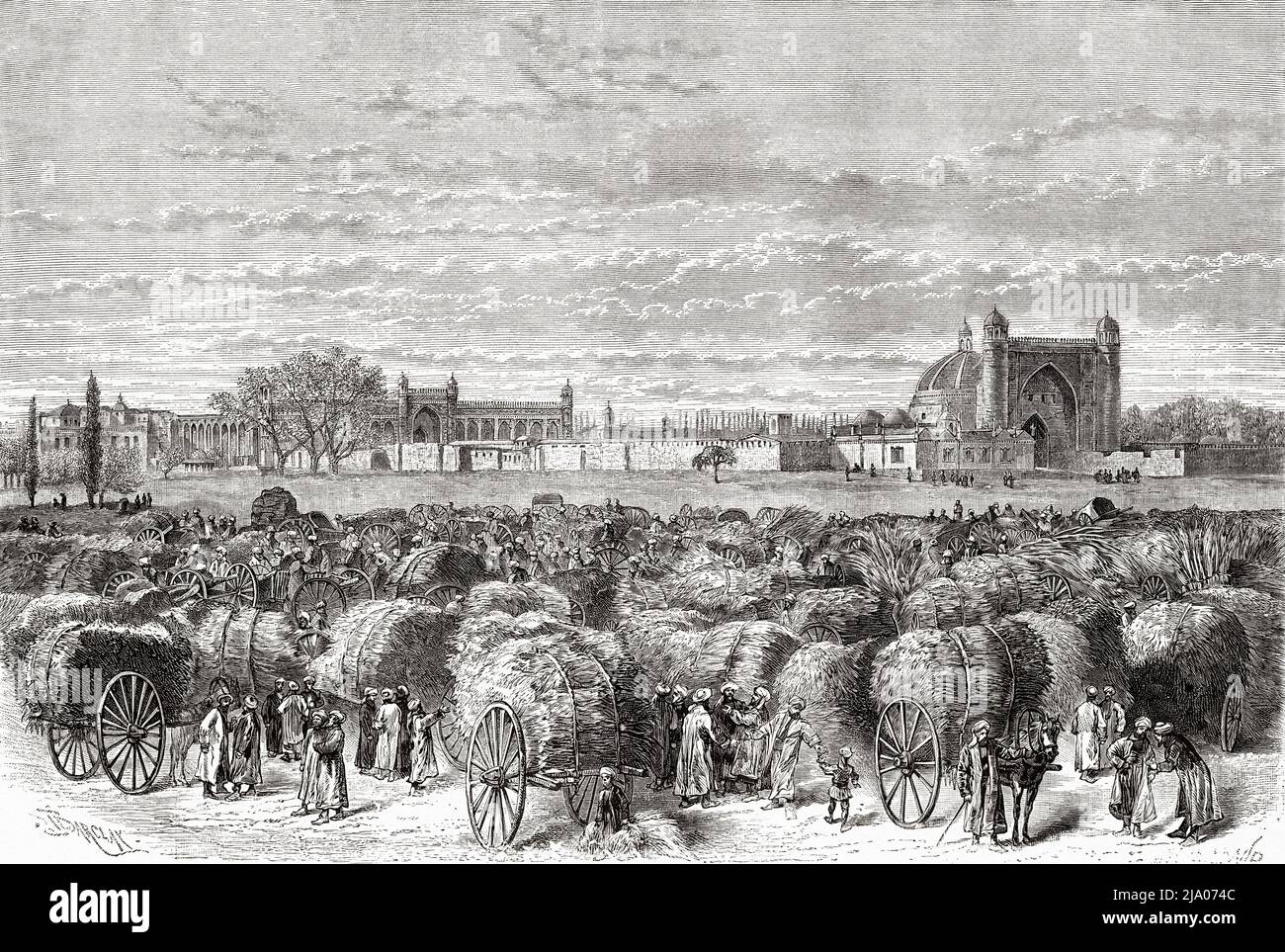 Ogzaki jinsiy aloqa - zino