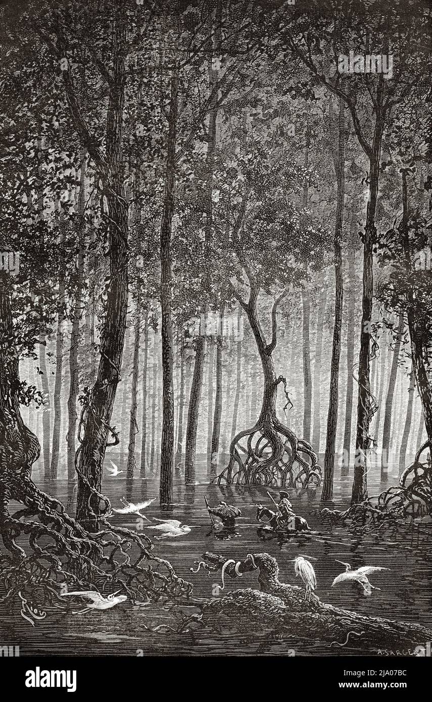 Flooded jungle, Cauca valley Department. Colombia. South America. Journey through Equinoctial America 1875-1876 by Edward Francois Andre. Le Tour du Monde 1879 Stock Photo