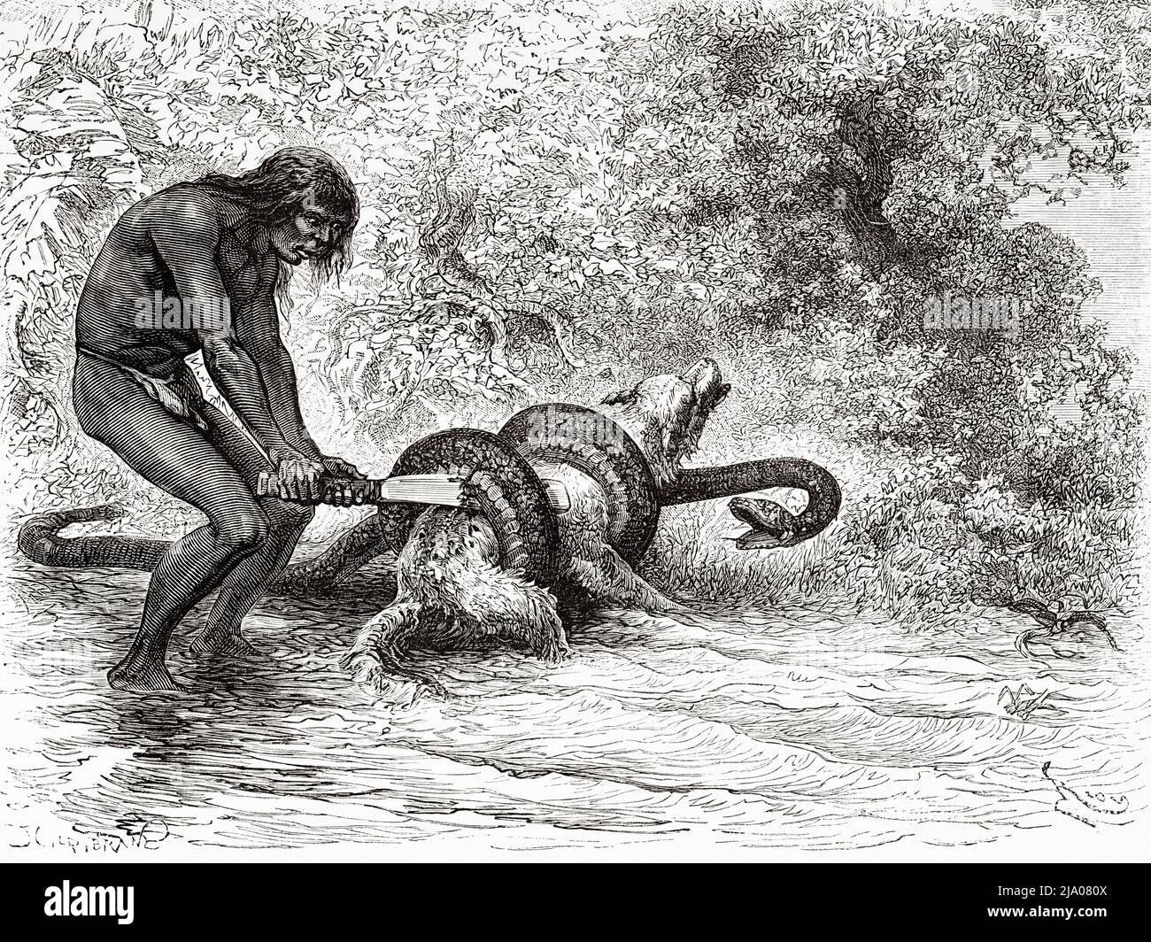 Native Boni Indians freeing a dog from the bonds of a large boa snake, French Guiana, Department of France, South America. Voyage of exploration in the interior of the Guianas 1877 by Jules Crevaux. Le Tour du Monde 1879 Stock Photo
