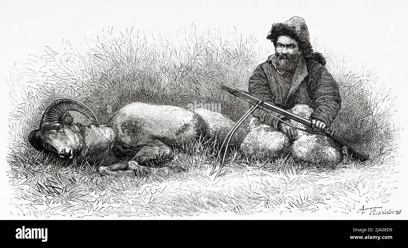 Kyrgyz hunter man with a dead argali. Kyrgyzstan, Kyrgyz Republic. Central Asia. From Orenburg to Samarkand 1876-1878 by Madame Marie Ujfalvy-Bourdon, Le Tour du Monde 1879 Stock Photo
