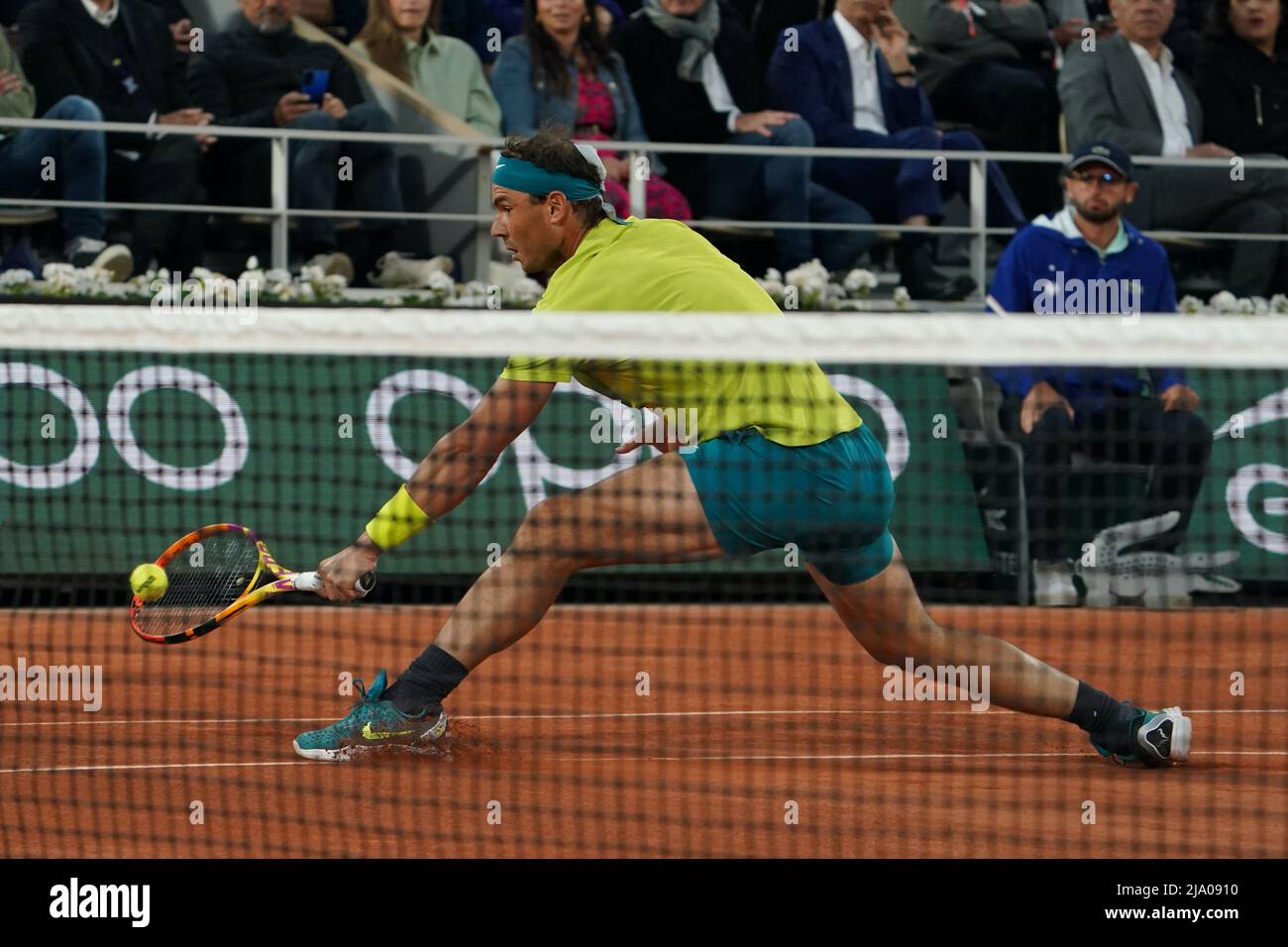 Tenis dharma basquete sale