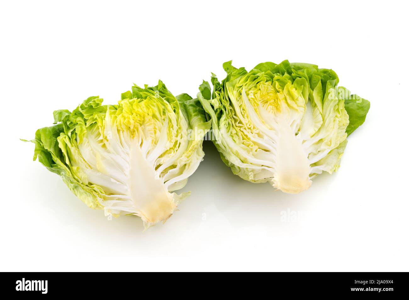Fresh green lettuce on white background. Healthy eating concept. Vegetarian lifestyle Stock Photo