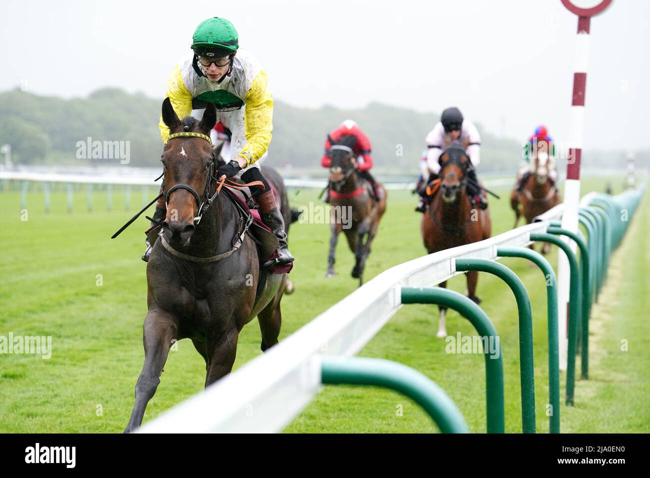 Cathayensis and Grant Tuer coming home to win the Betfred Haydock Park Training Series Apprentice Handicap at Haydock Park Racecourse, Merseyside. Picture date: Thursday May 26, 2022. Stock Photo