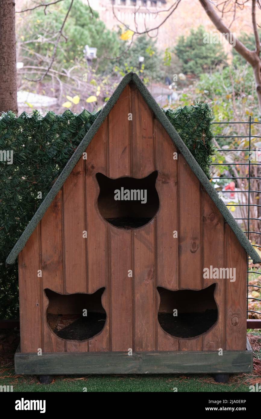 Empty wooden design cat house with cat face shape entrance in the park Stock Photo