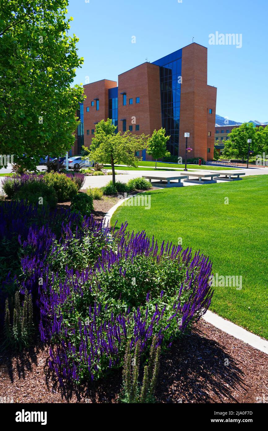 LOGAN, UT –11 JUN 2021- View of the college campus of Utah State ...