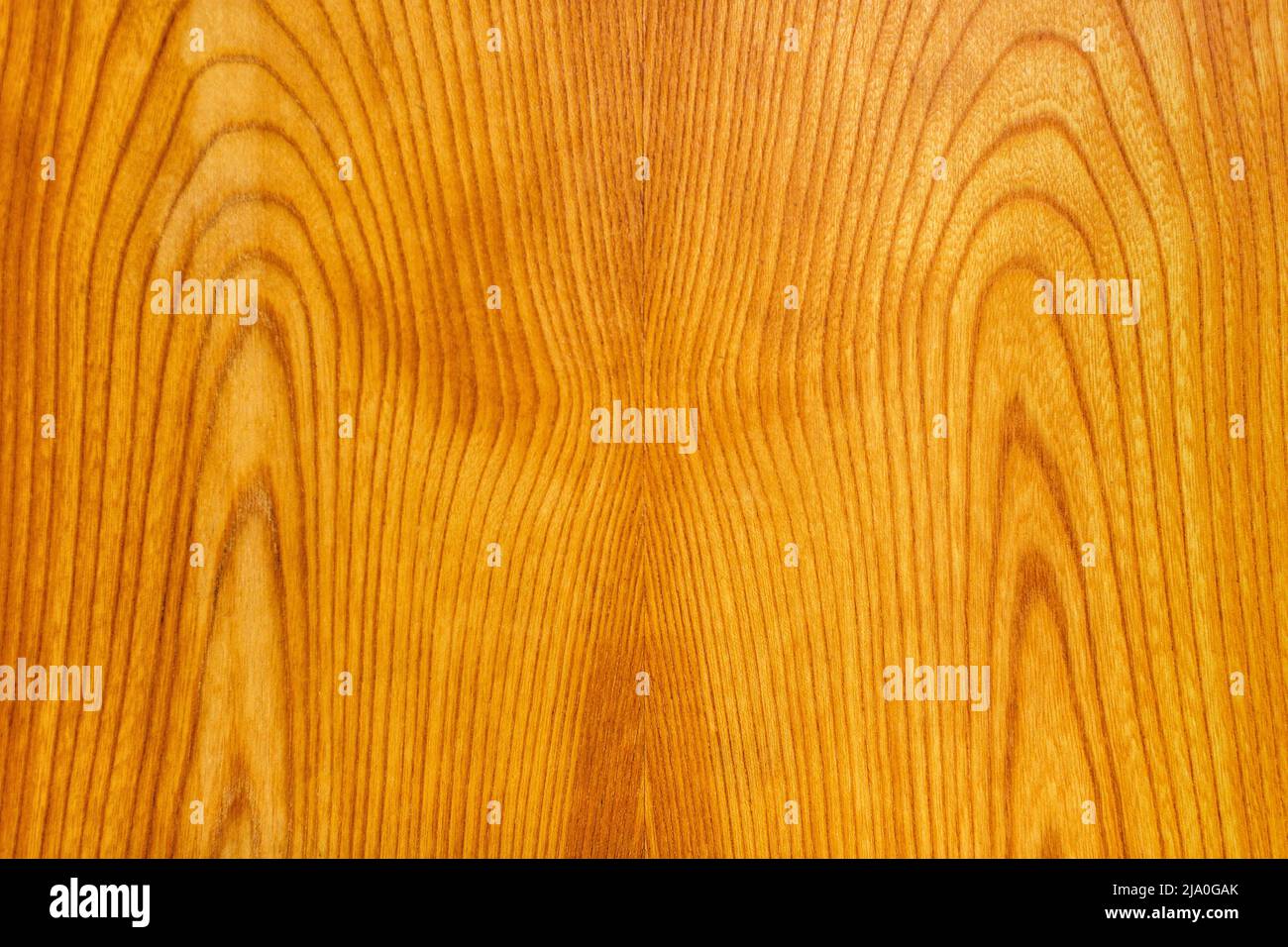 Beautiful wooden veneer texture for background Stock Photo