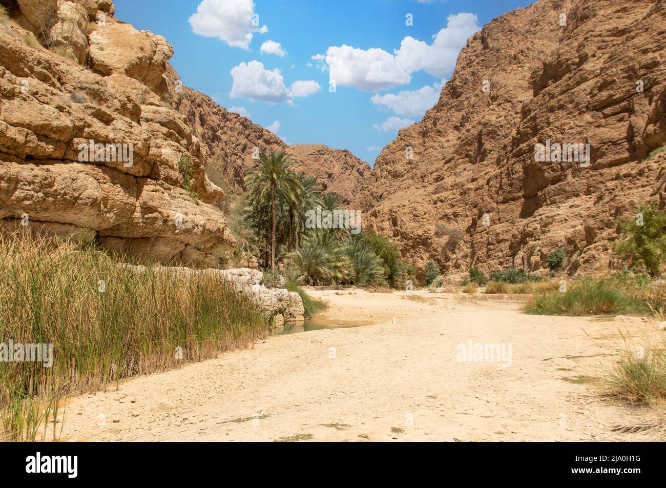 Famous of its vertical cliffs and the green water, Wadi Shab is one of the most beautiful wadi