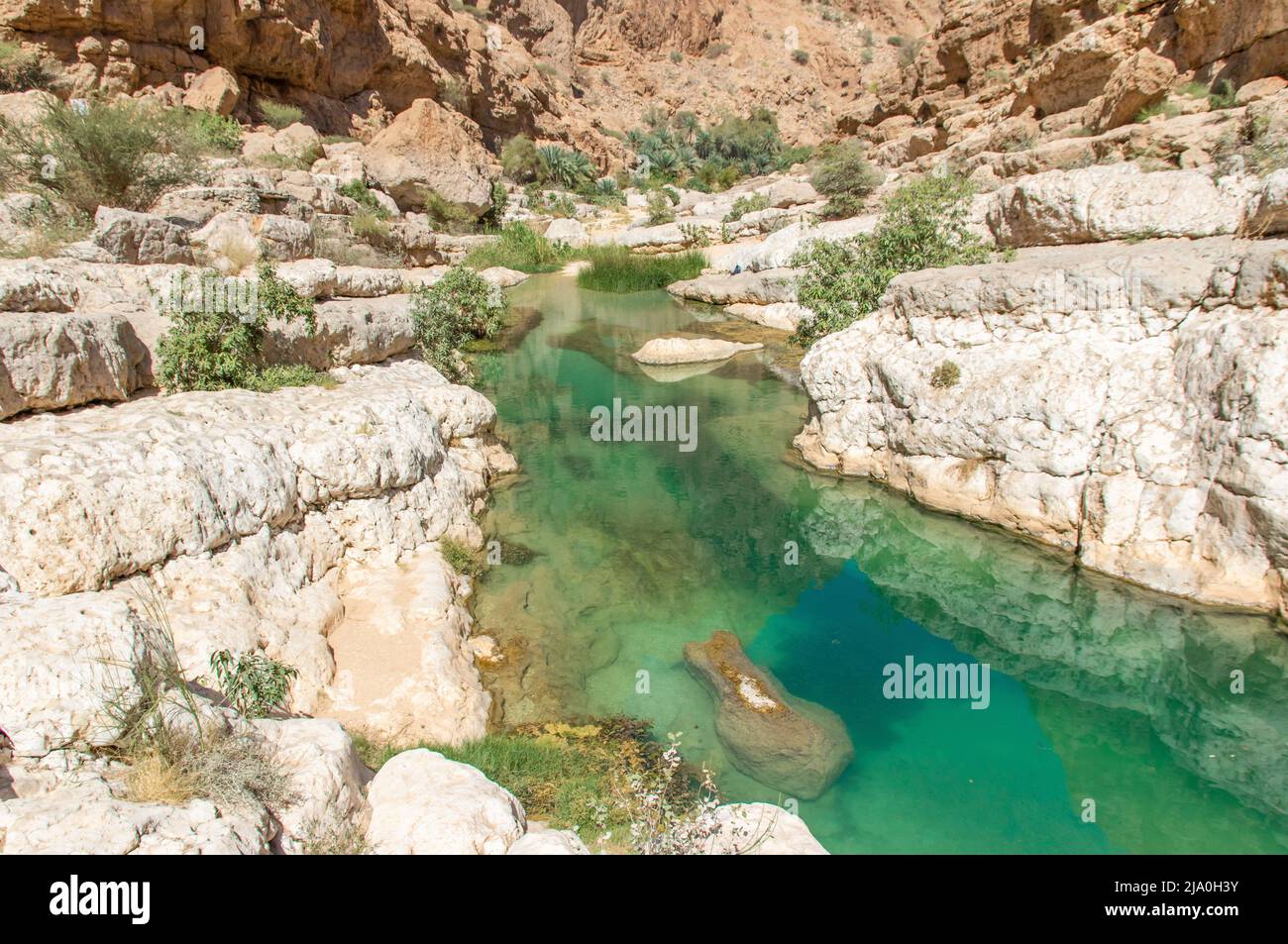 Famous of its vertical cliffs and the green water, Wadi Shab is one of the most beautiful wadi