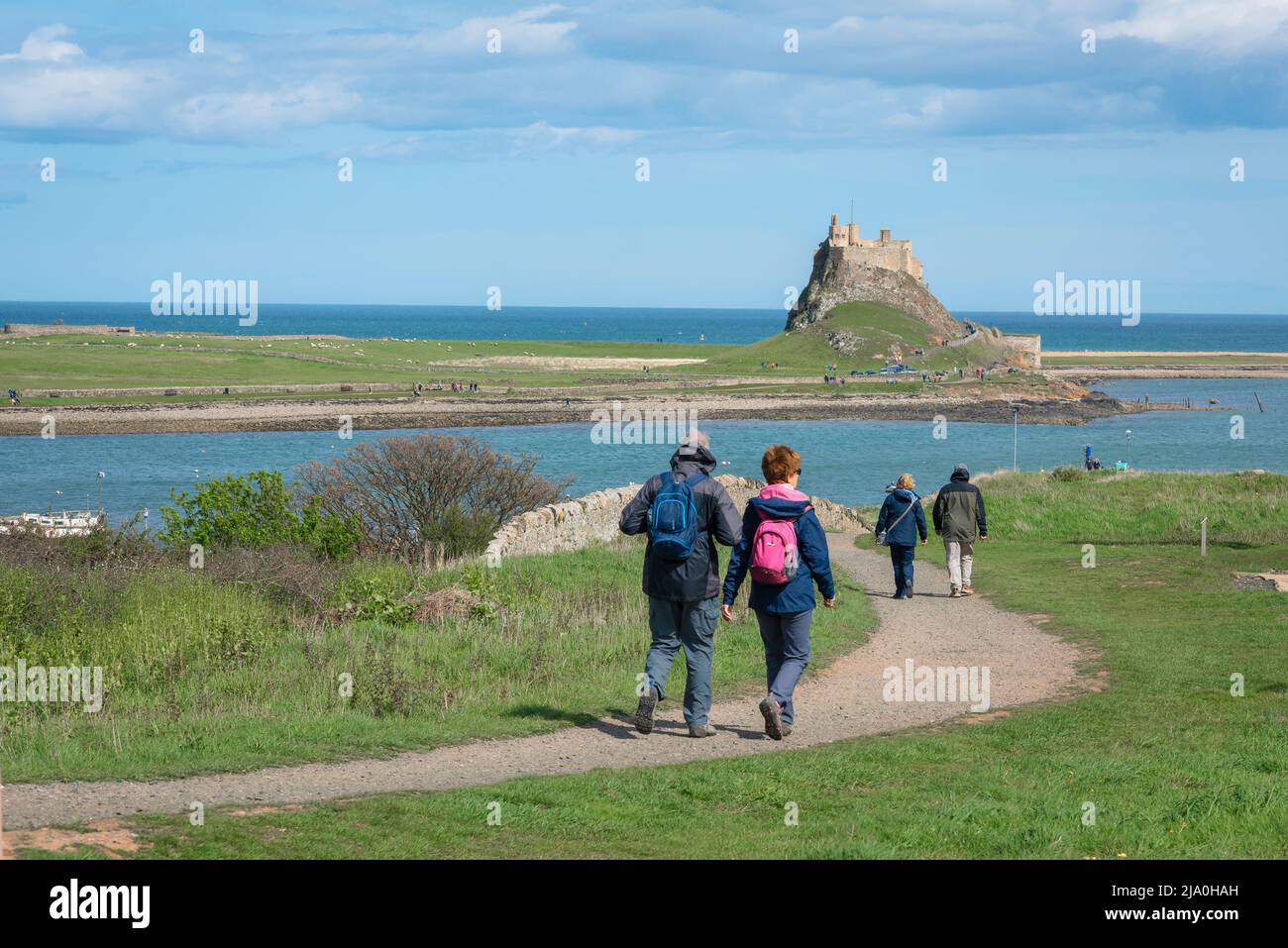 Mature people walking, rear view in sunny weather of a mature couple walking on Holy Island (Lindisfarne), Northumberland, England, UK Stock Photo