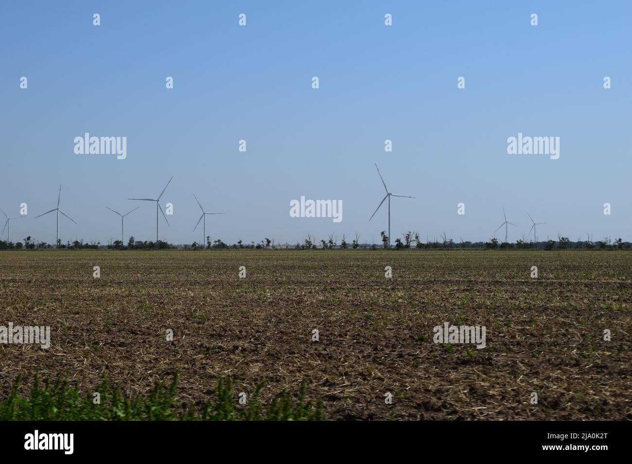 A field of windmills spin in front of a colorful evening sky. A wind turbine is used to produce electricity. Wind energy is the use of wind for electr Stock Photo