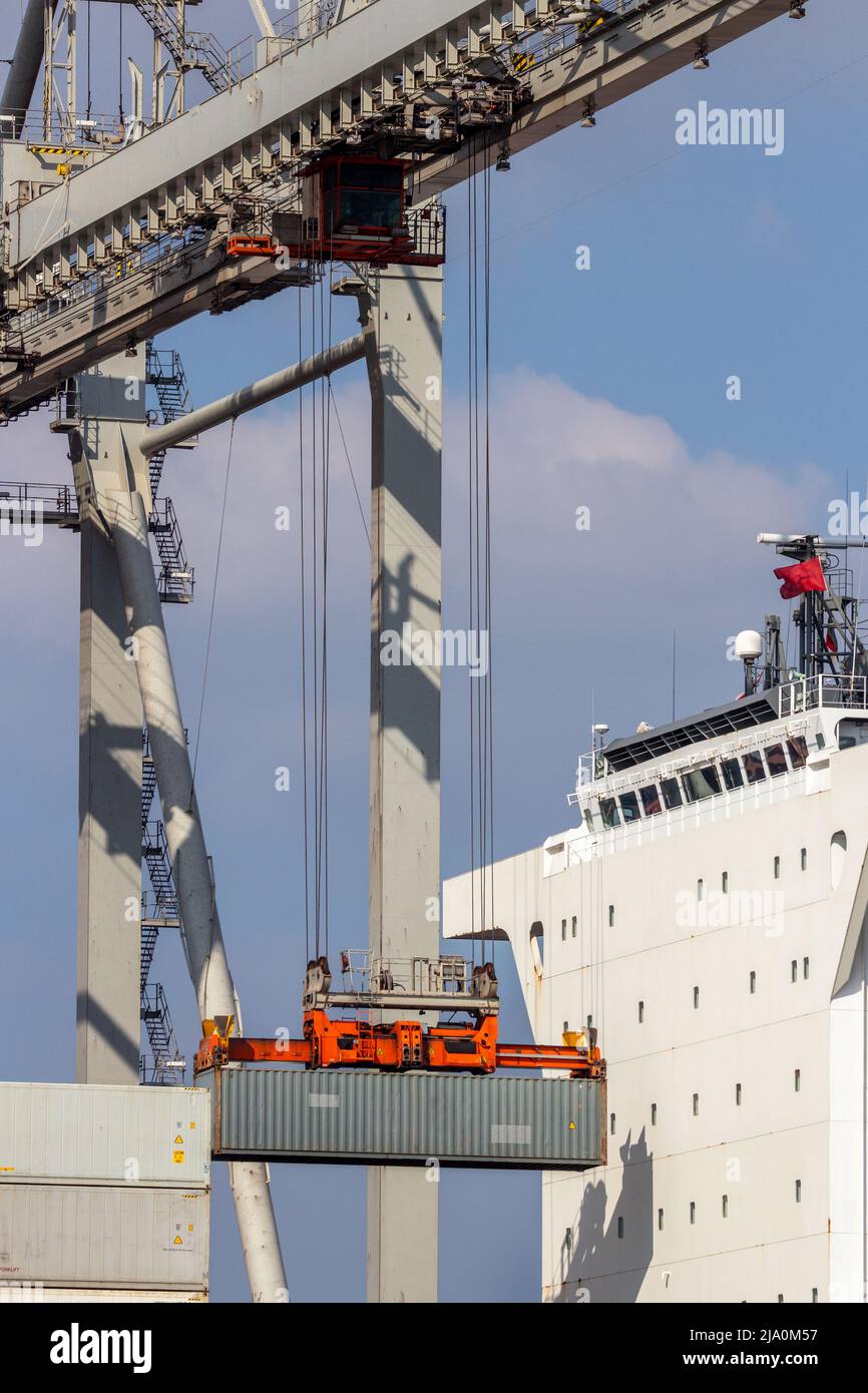 Shipping container unloaded by gantry crane from a industrial ship in the port. Stock Photo