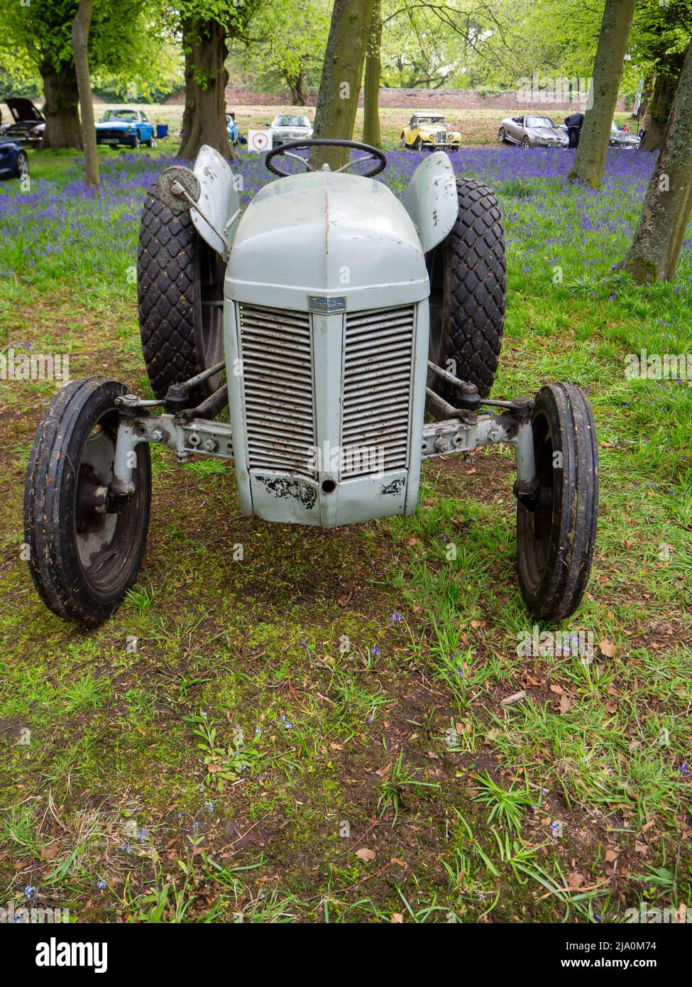Vintage Ferguson Tractor set in a bluebell coppice Stock Photo
