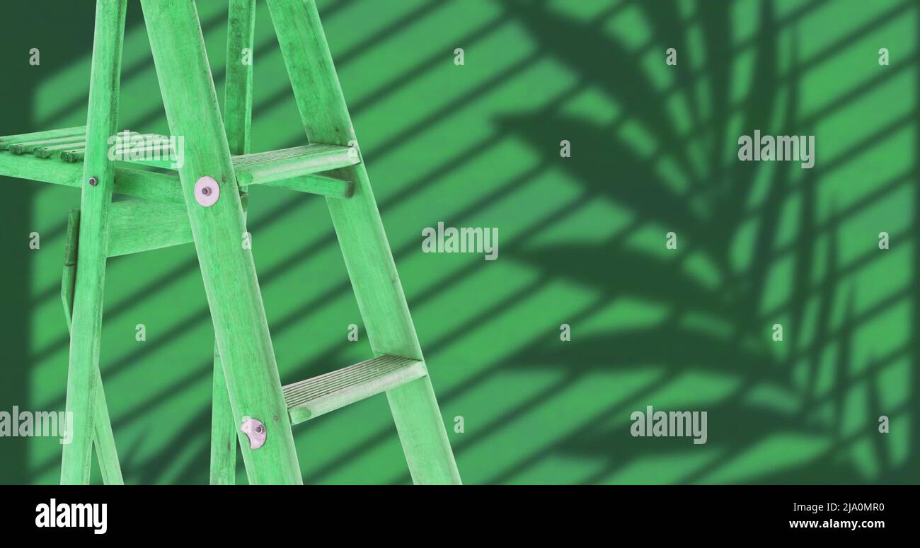 Image of ladder over leaf shadow on green background Stock Photo