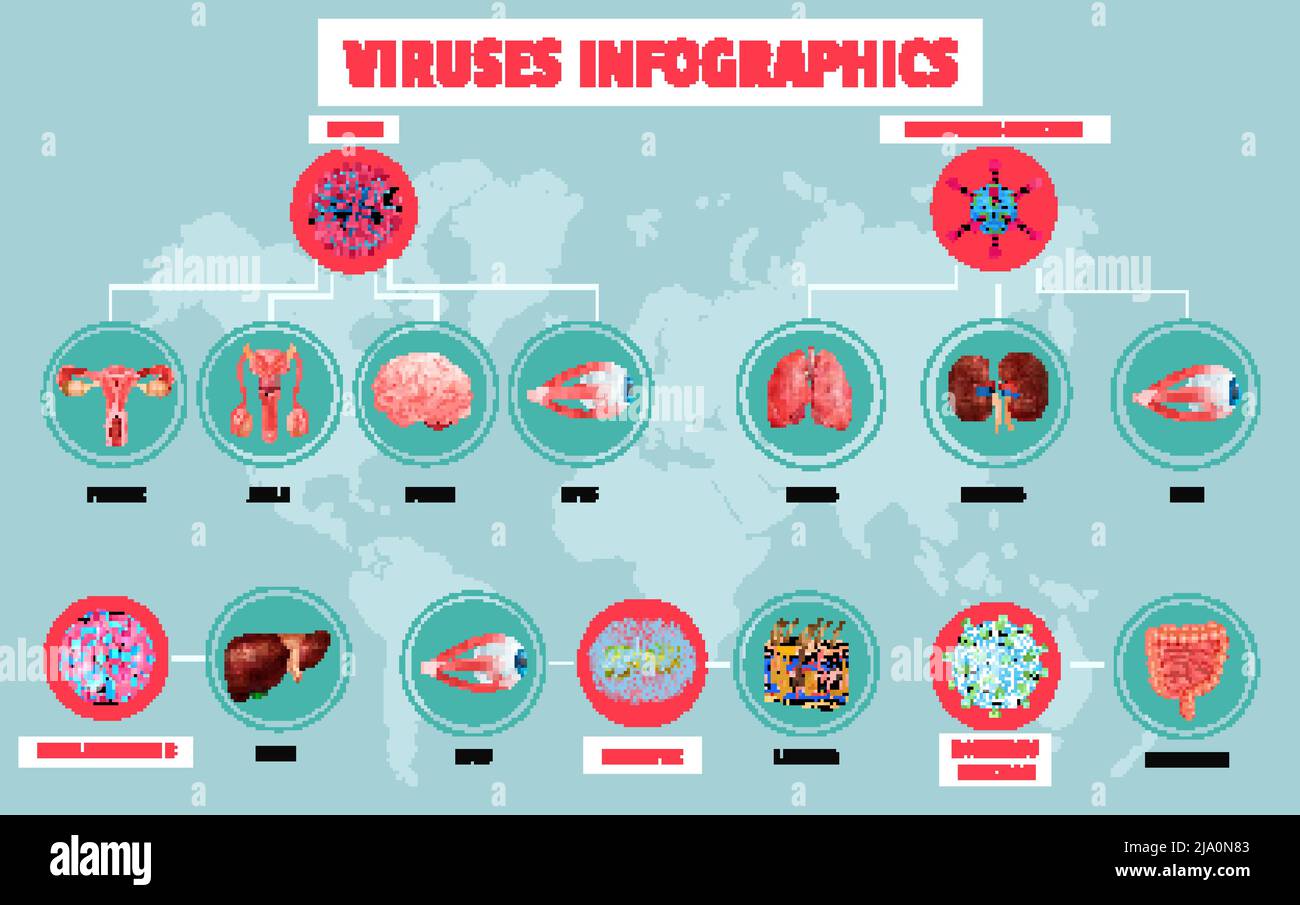 Realistic infographics with various viruses and affected human organs on background with world map vector illustration Stock Vector