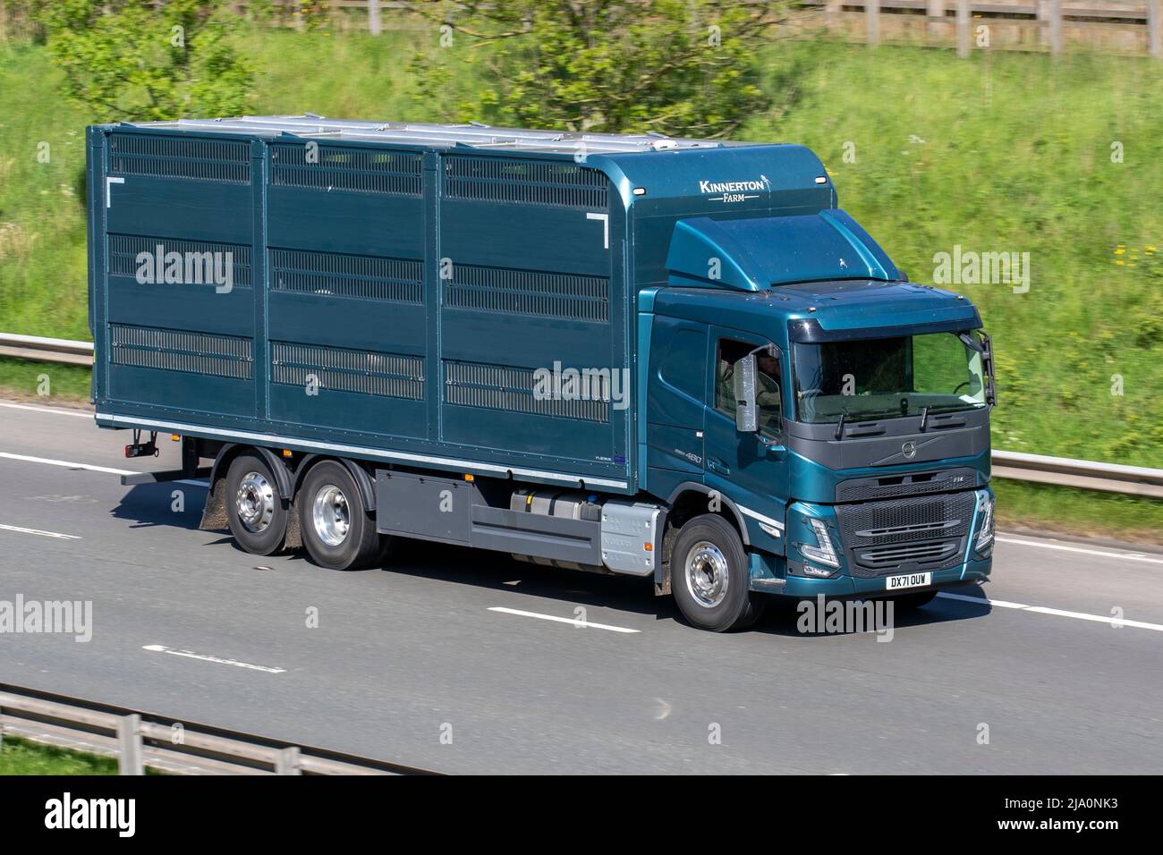 Kinnerton Farm Livestock Transport 2021 Volvo 480 FH 12777cc Diesel Truck; driving on the M61 near Manchester, UK Stock Photo