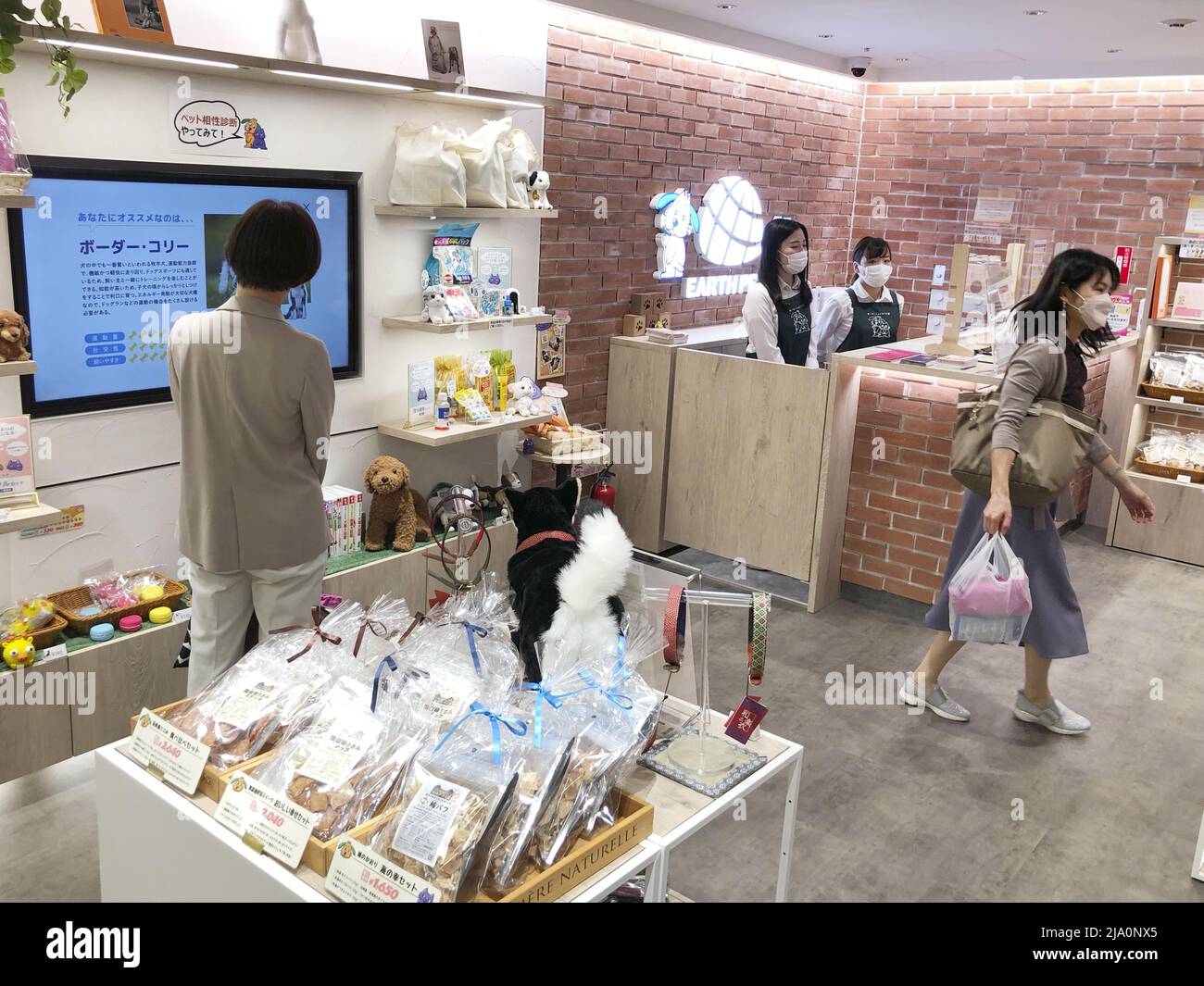 A pet shop opens at an underground shopping mall at JR Tokyo Station on
