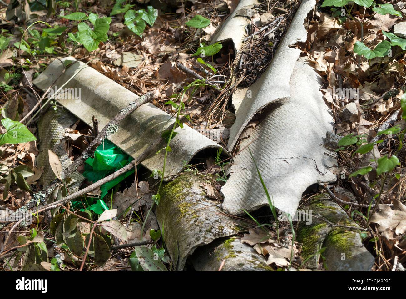 Asbestos Roofing Material Dumped in a Woodland Environment at the side of a Road. Stock Photo