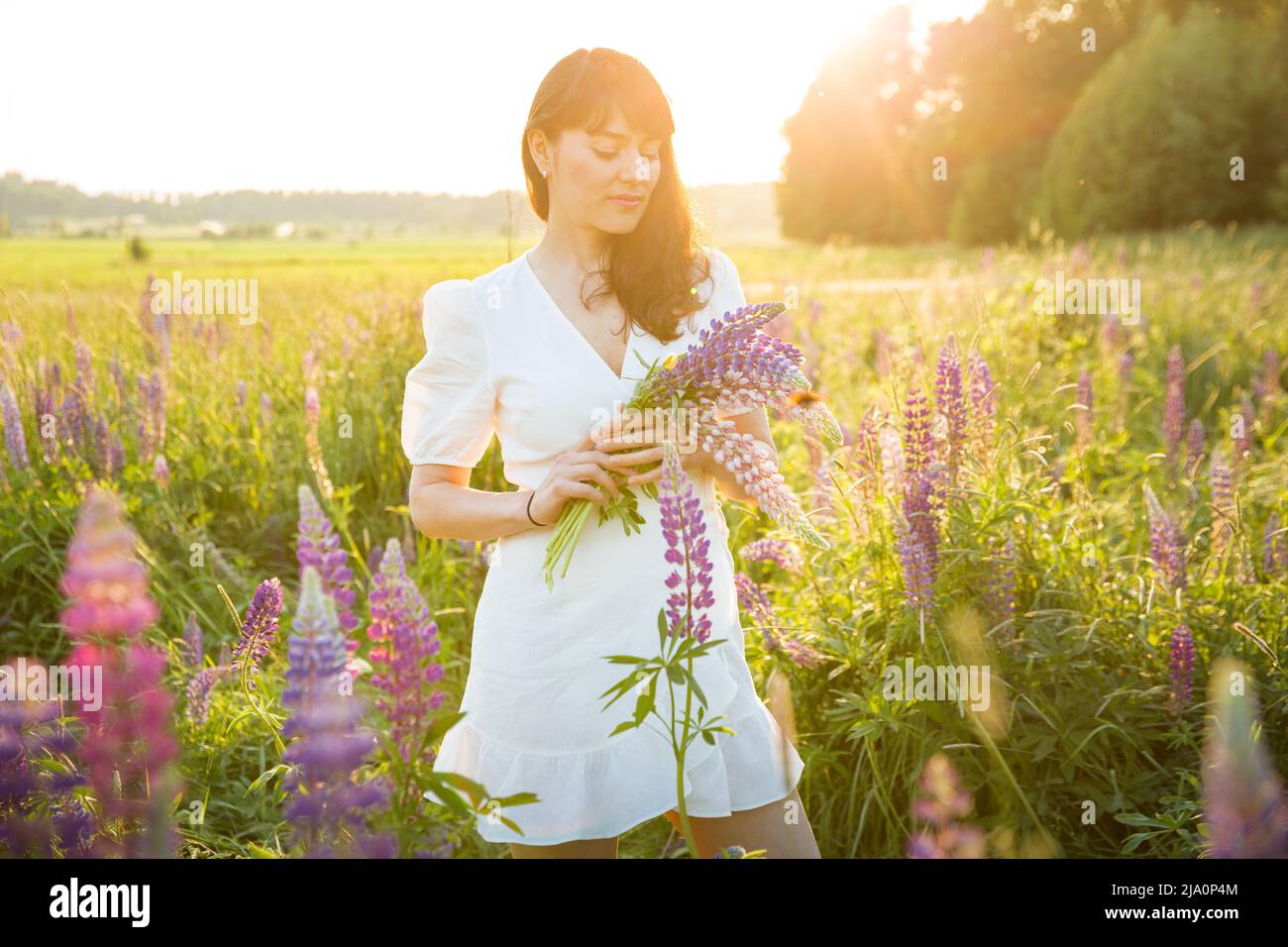 Beautiful woman in white sundress enjoying the summer nature. Picking