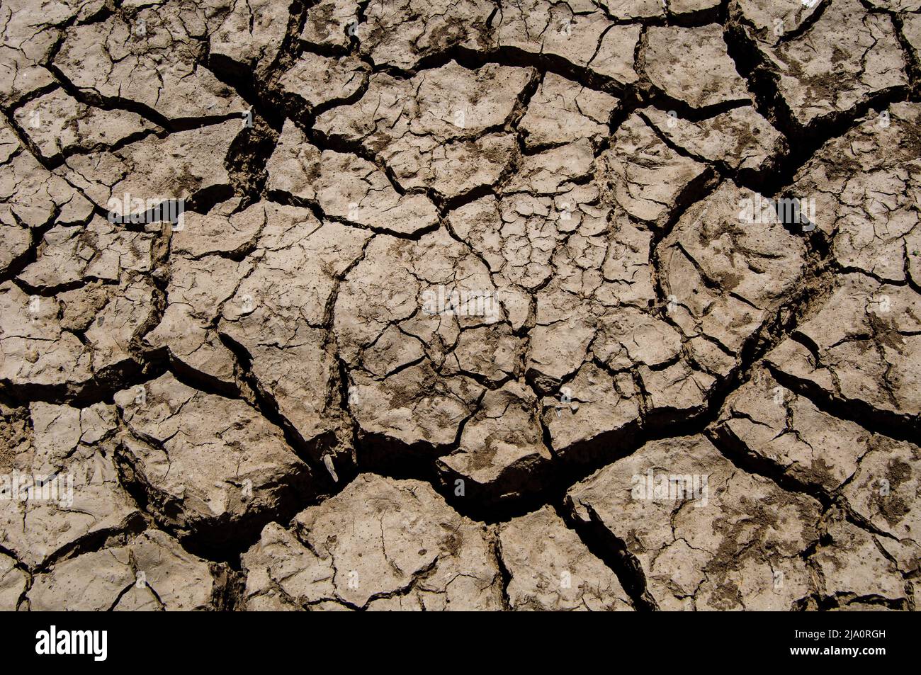 cracked soil detail of dry lake bed Stock Photo