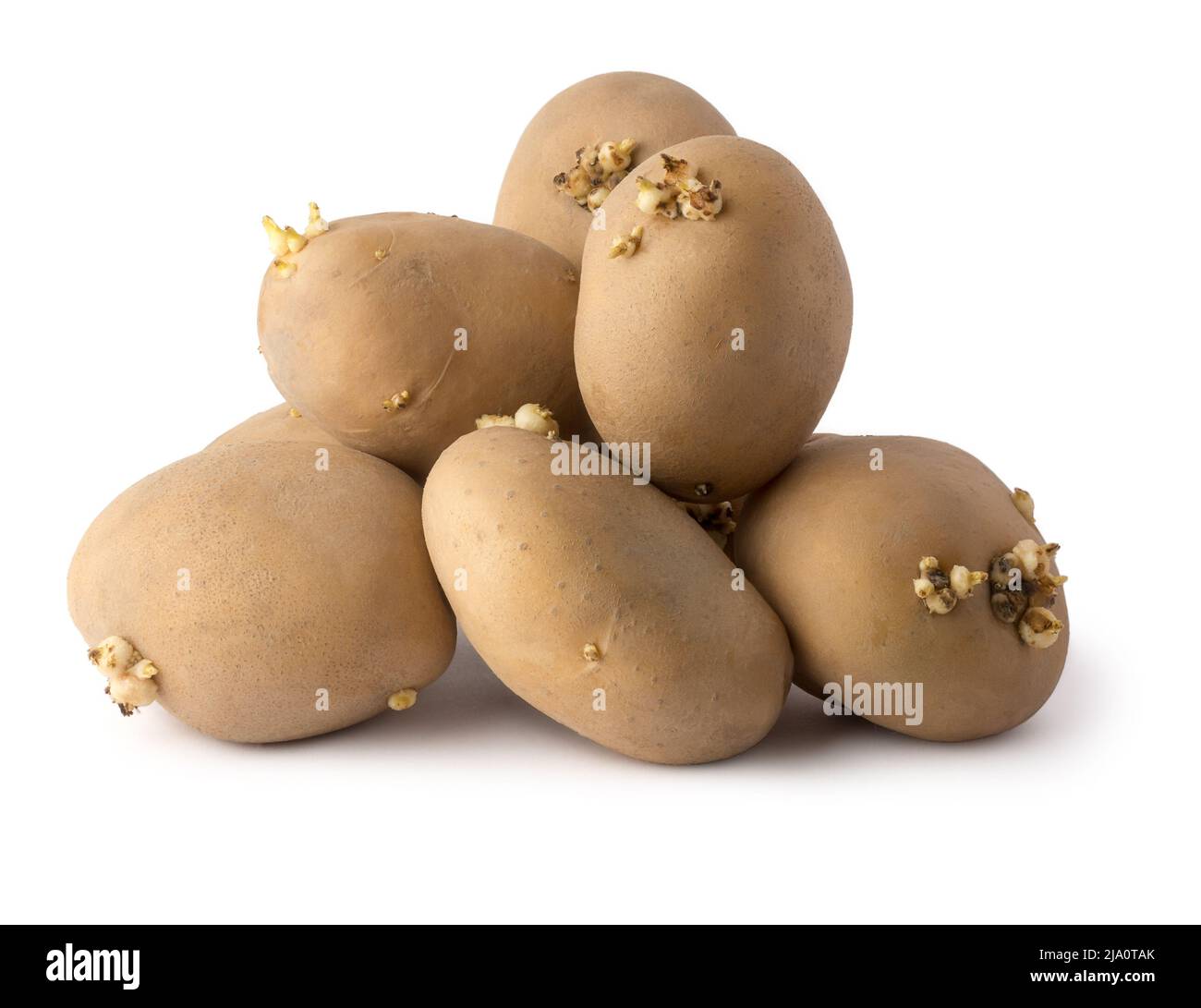 Healthy unhealthy plant hires stock photography and images Alamy