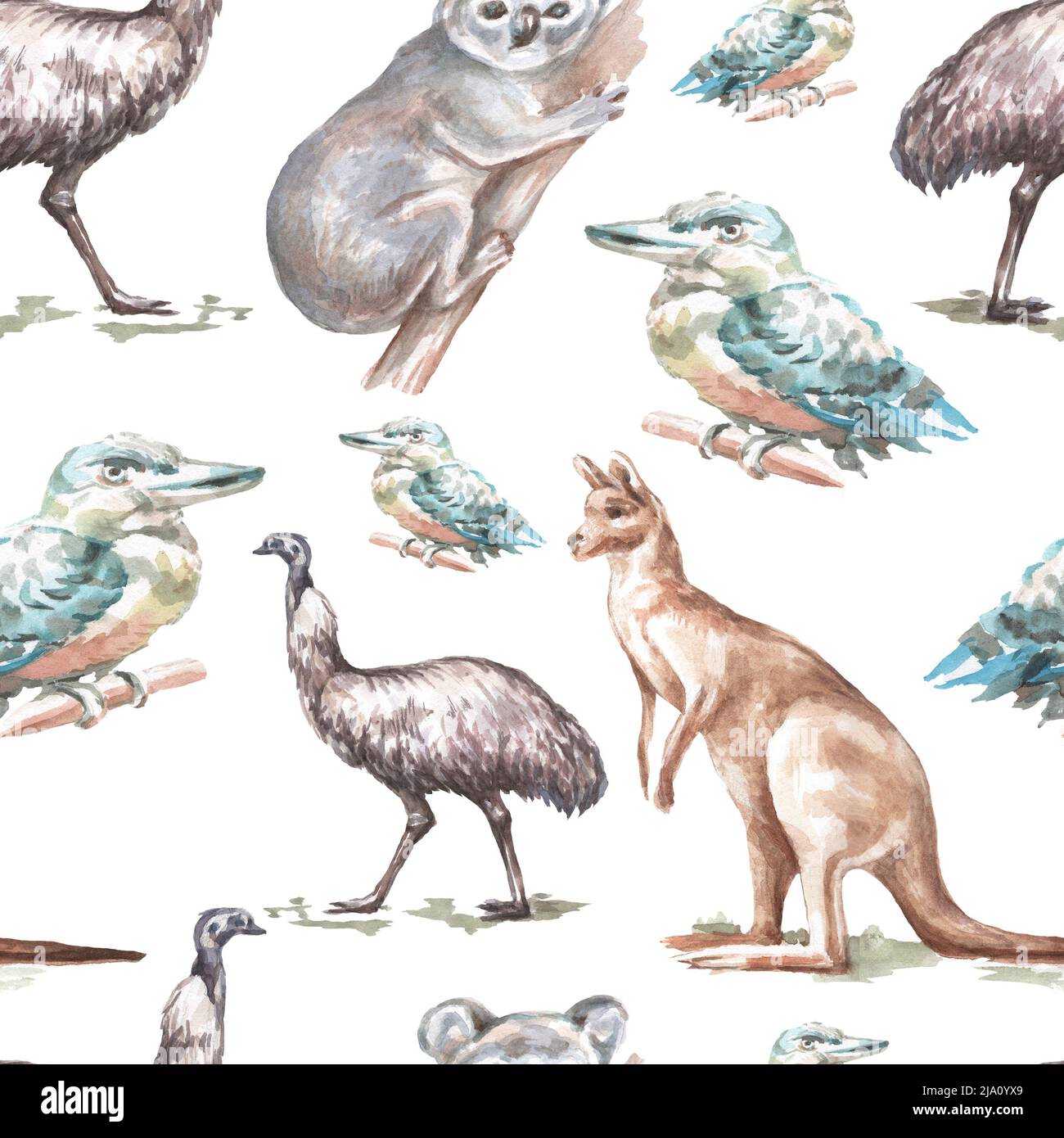 Kookaburra illustration hi-res stock photography and images - Page 2 - Alamy Kookaburra illustration hi-res stock photography and images - Page 2 - Alamy